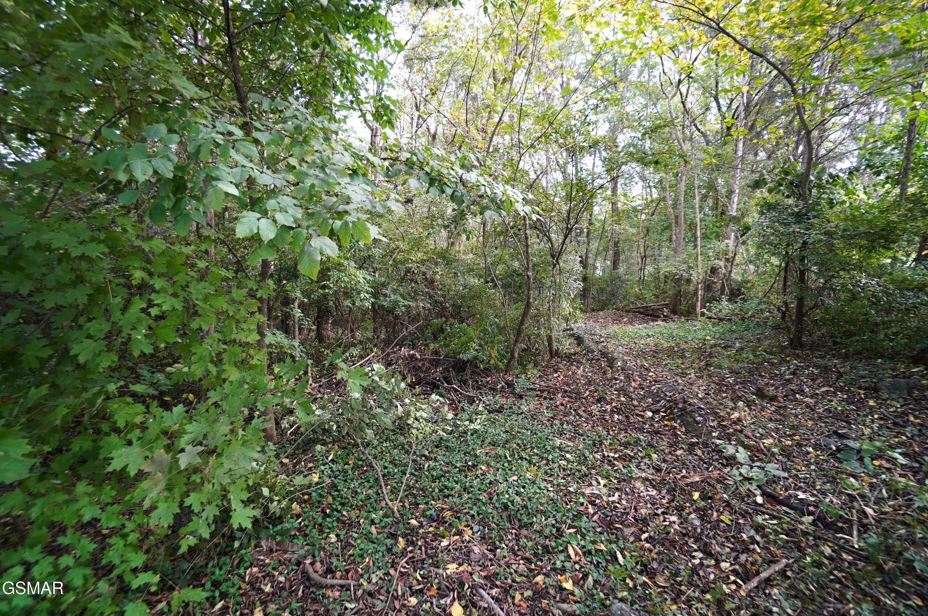 Lot 14 West View Drive Strawberry Plains TN 37871