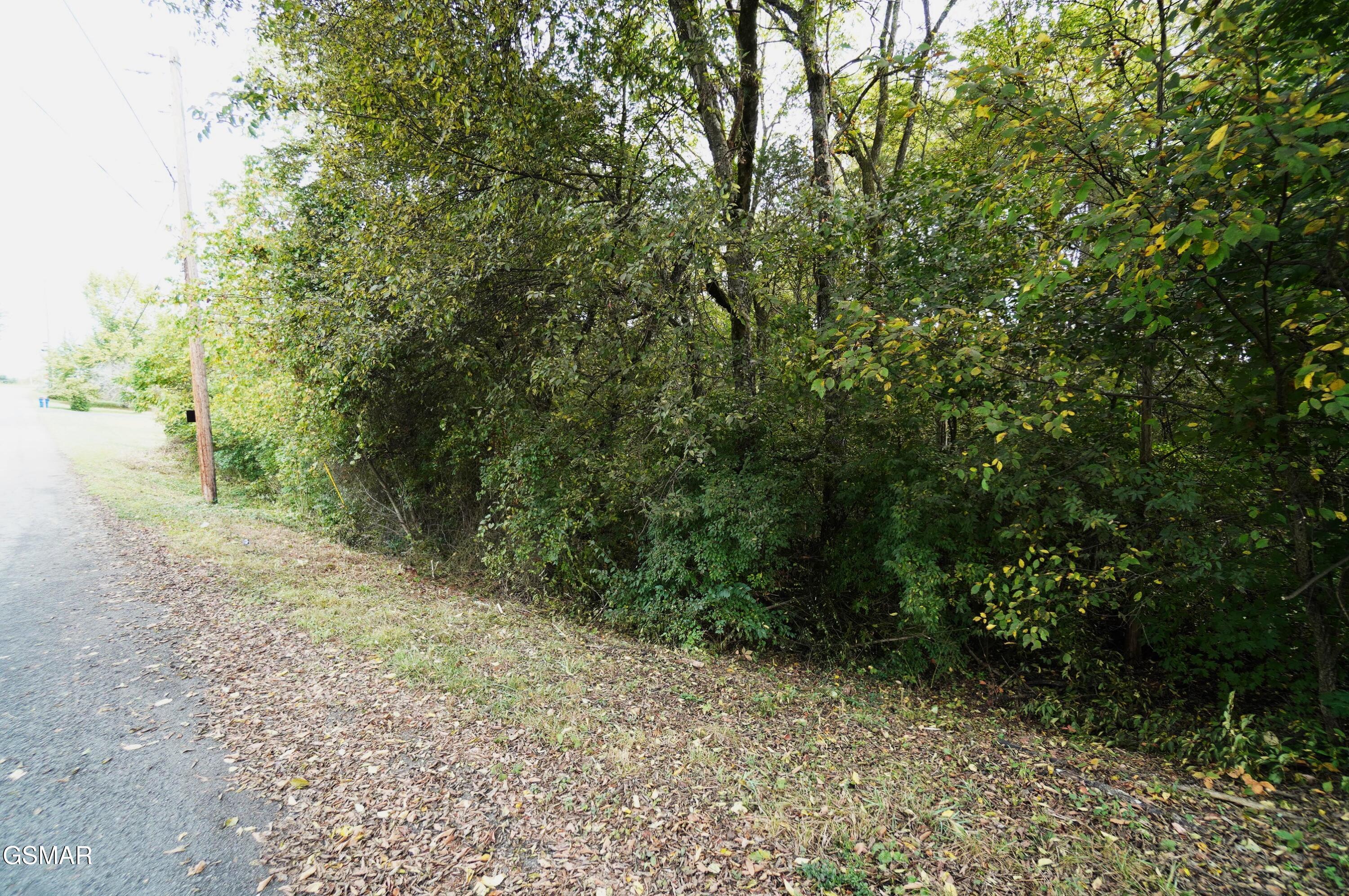 Lot 14 West View Drive Strawberry Plains TN 37871