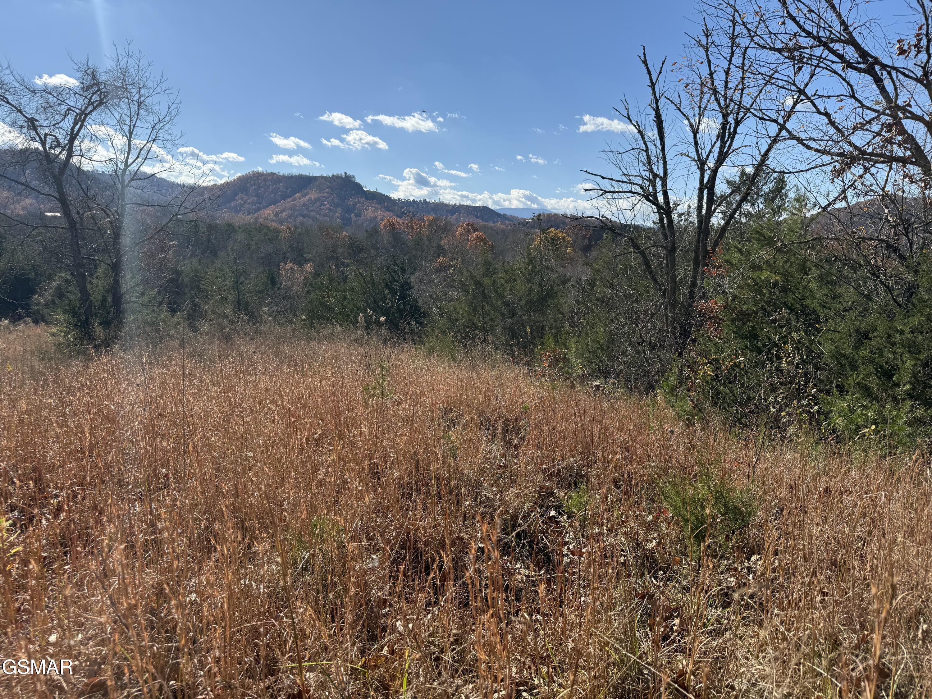 0000 Jayell Road Sevierville TN 37862