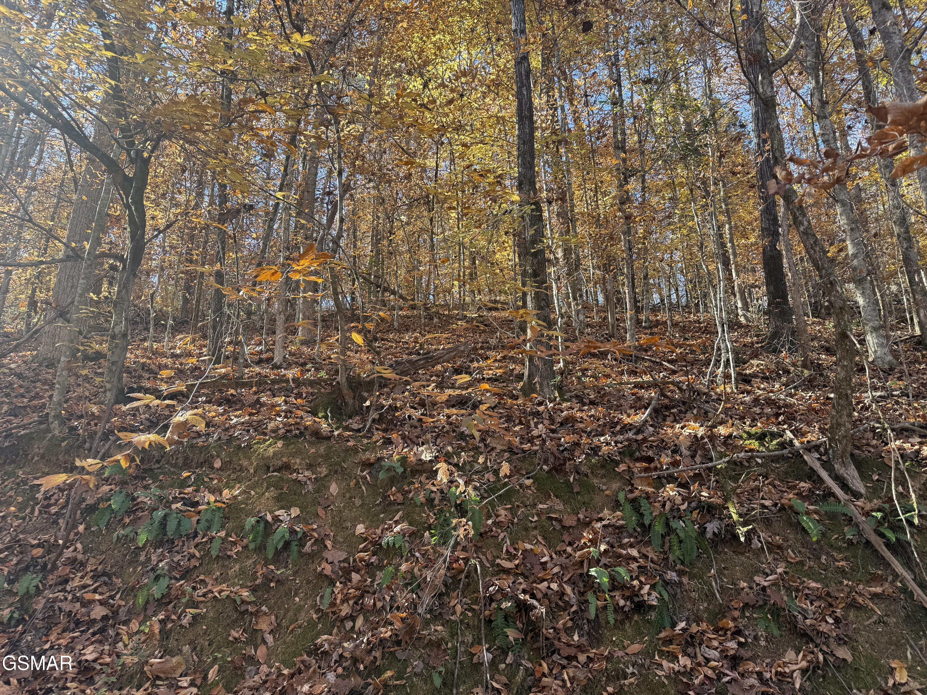 0000 Jayell Road Sevierville TN 37862
