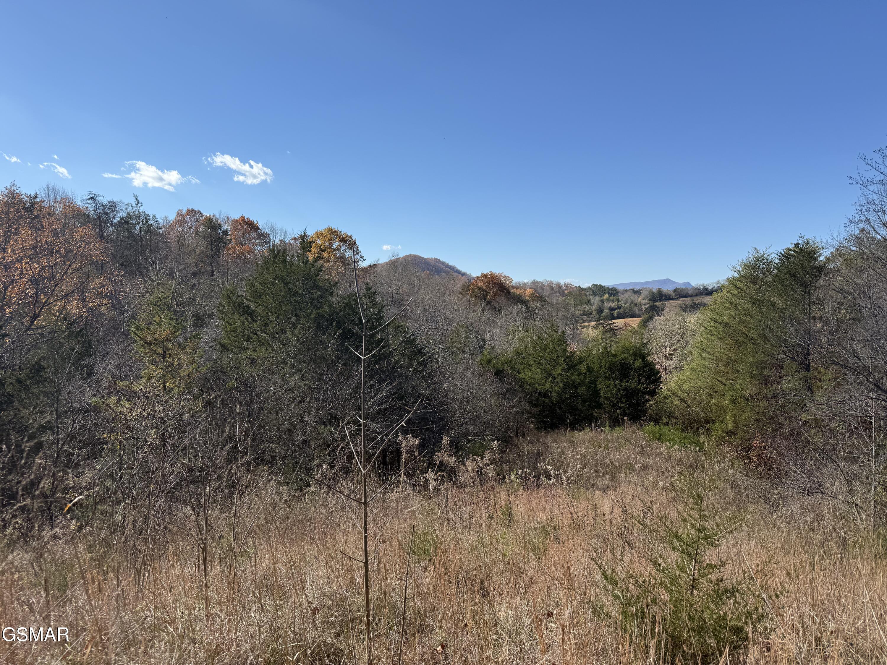 0000 Jayell Road Sevierville TN 37862