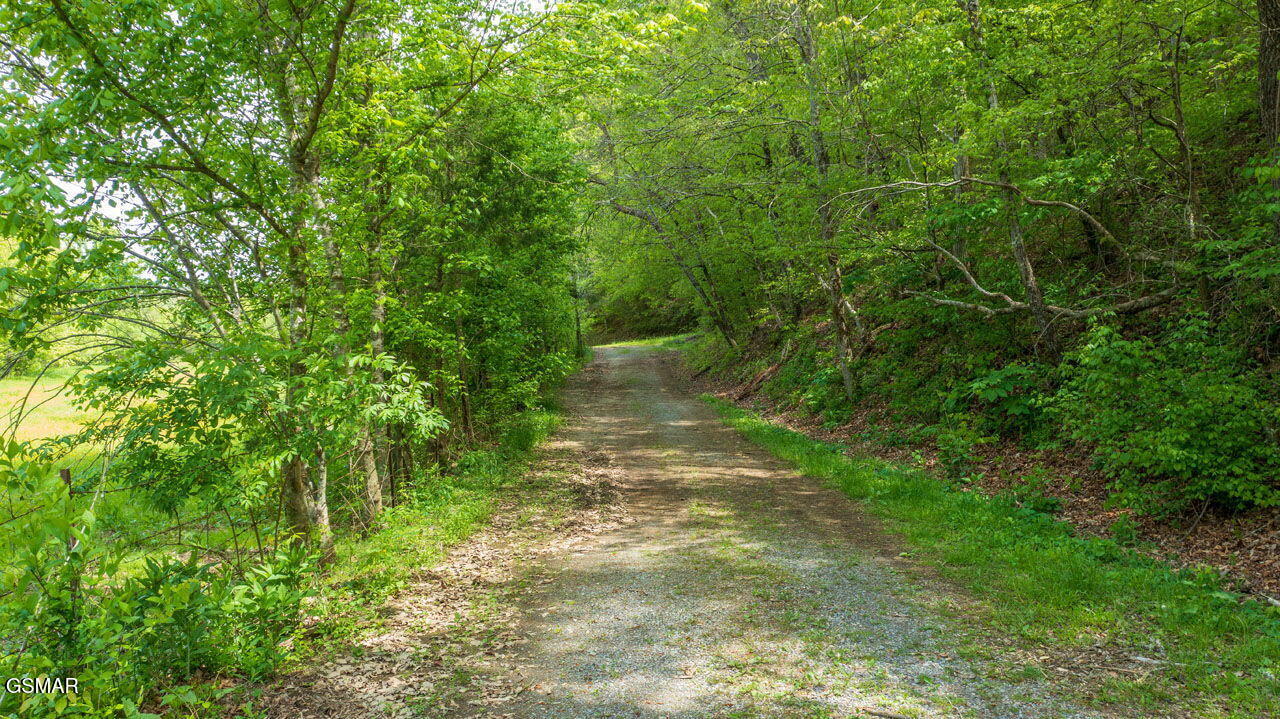 0000 Jayell Road Sevierville TN 37862
