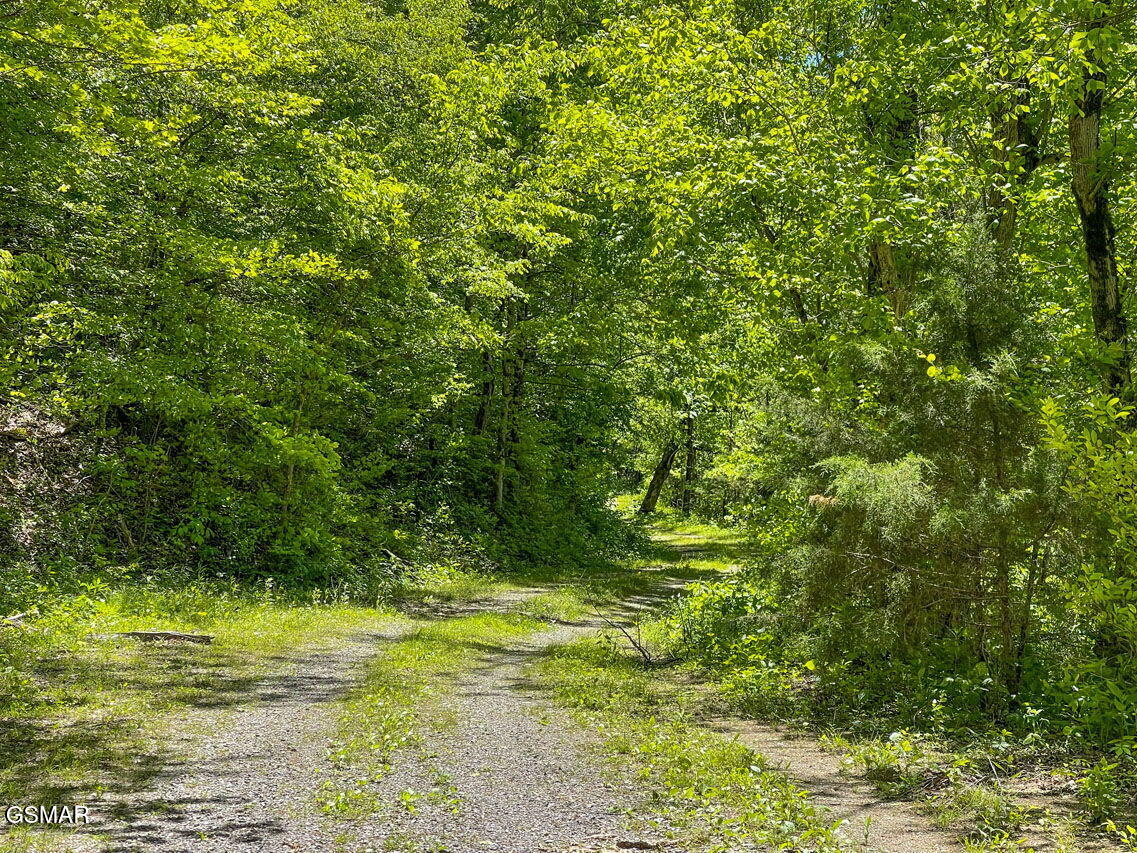 0000 Jayell Road Sevierville TN 37862