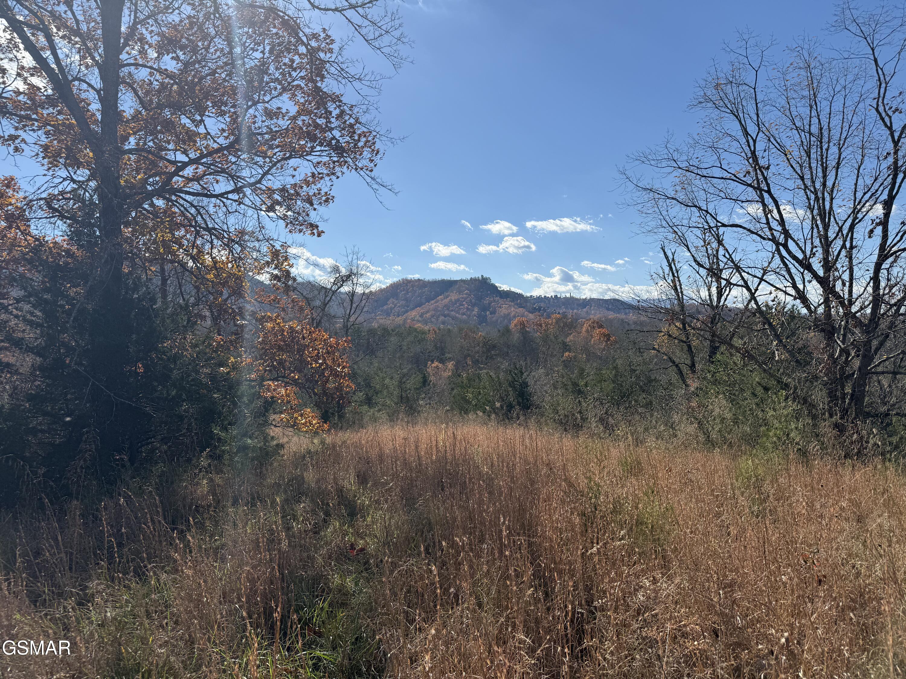 0000 Jayell Road Sevierville TN 37862