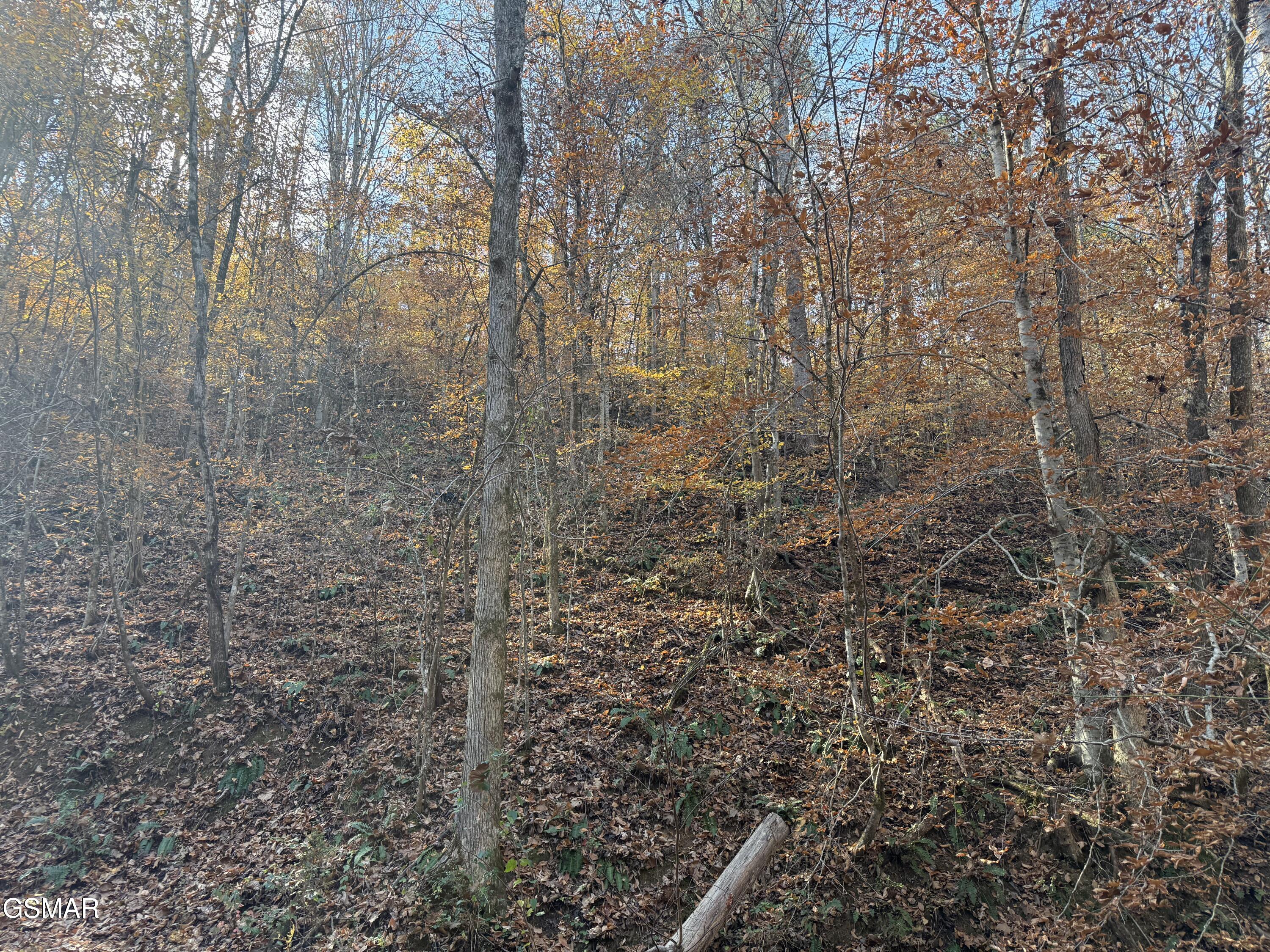 0000 Jayell Road Sevierville TN 37862