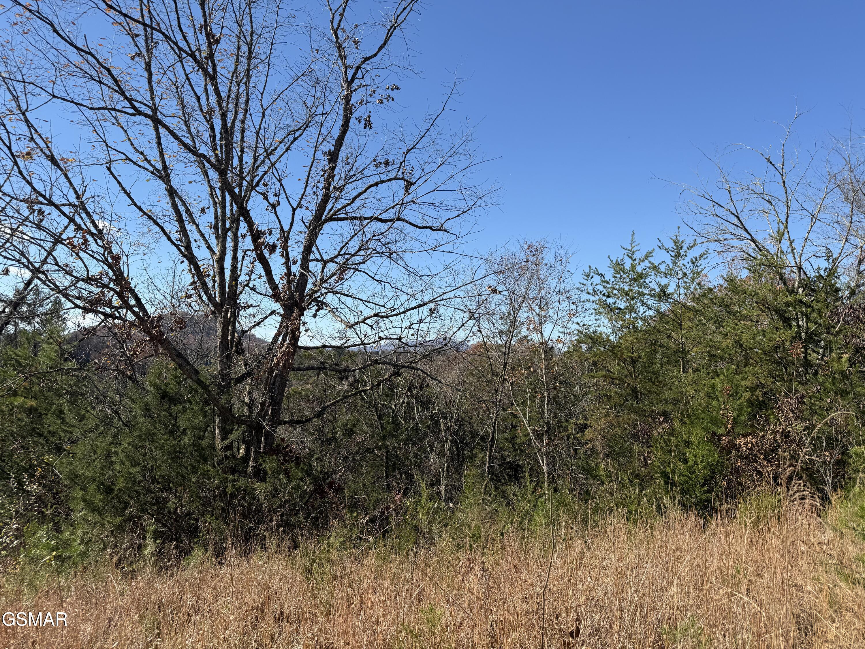 0000 Jayell Road Sevierville TN 37862