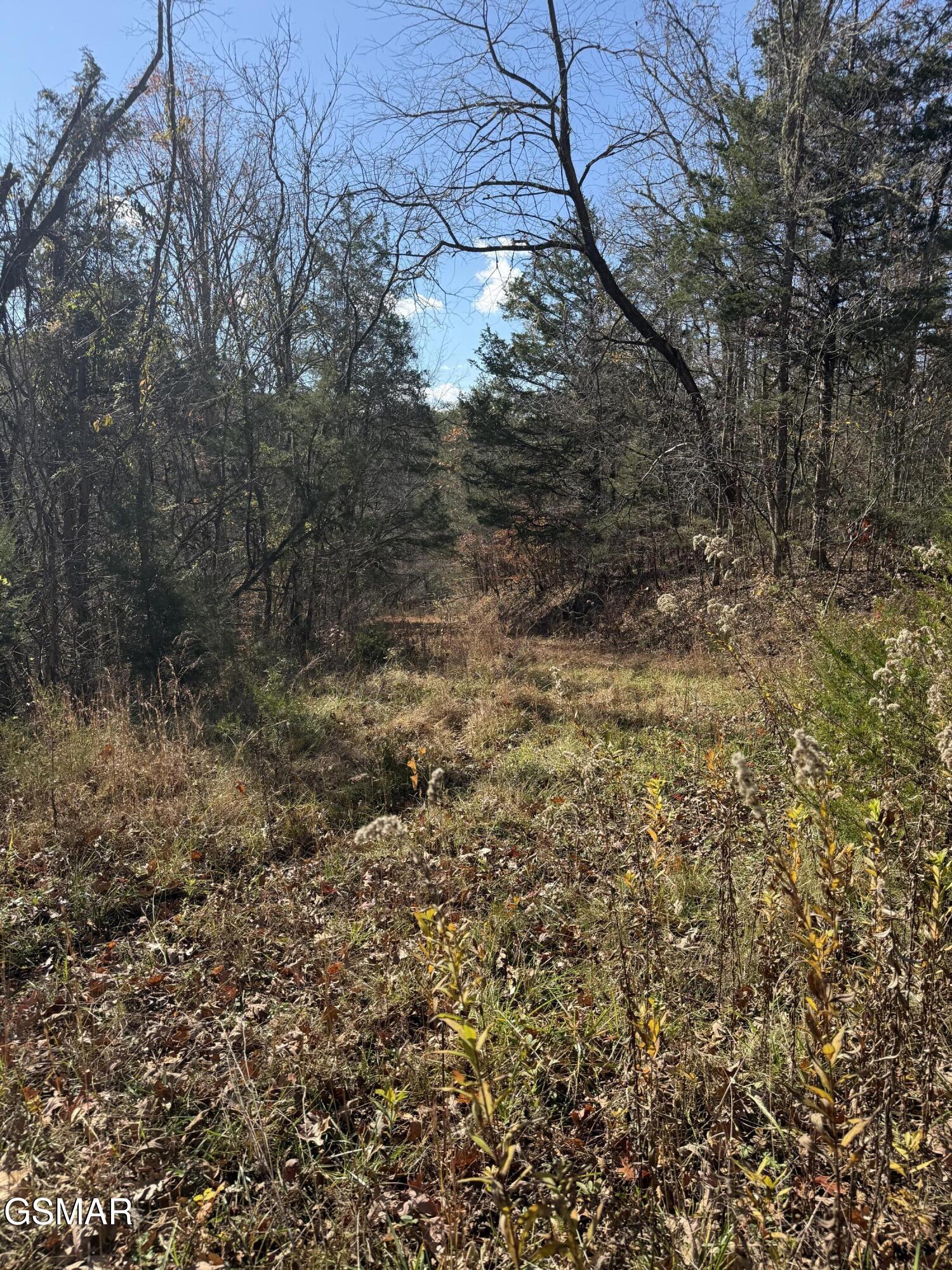 0000 Jayell Road Sevierville TN 37862