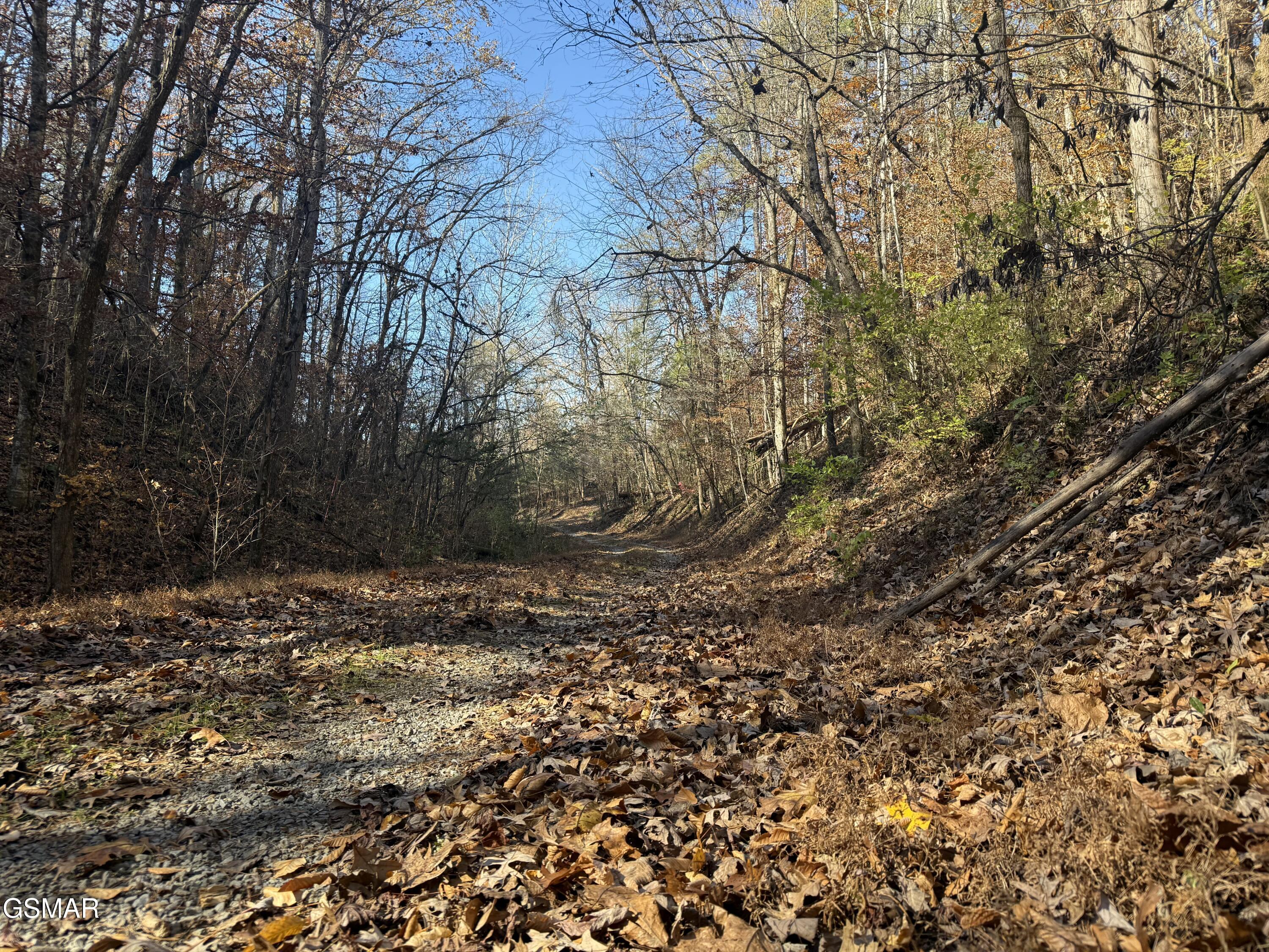 0000 Jayell Road Sevierville TN 37862