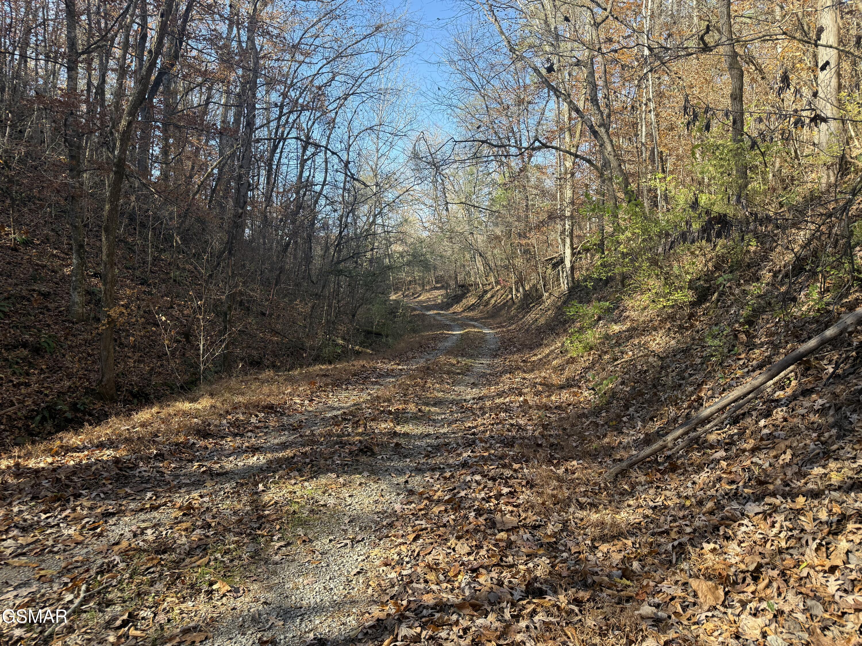 0000 Jayell Road Sevierville TN 37862