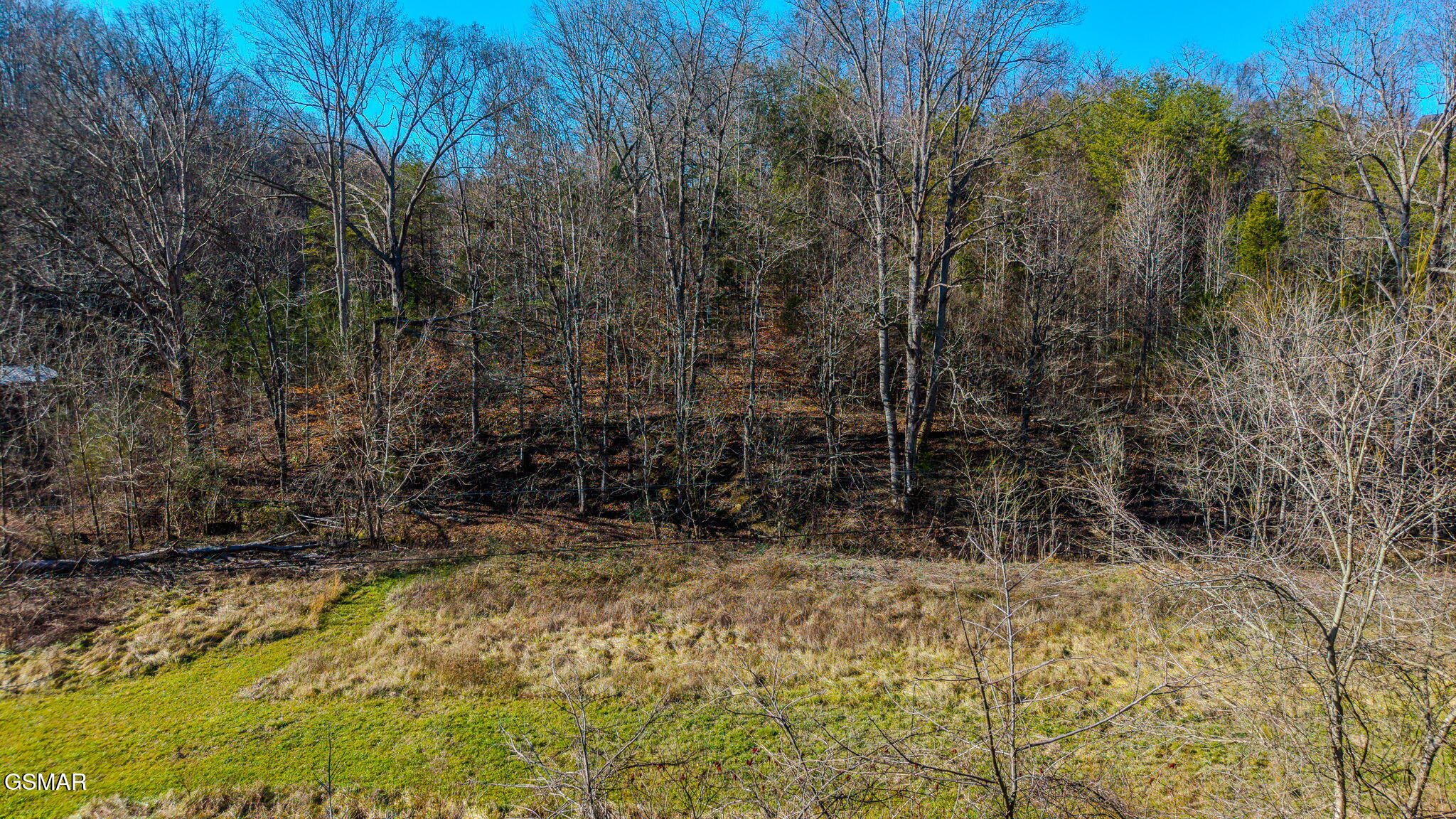 230-3 Reagan Branch Road Seymour TN 37865