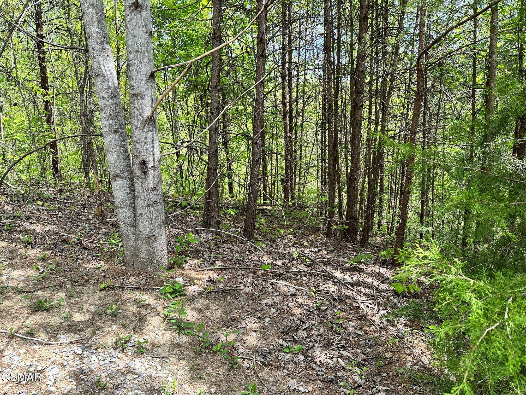 1430 Mountain Dreams Way Sevierville TN 37862