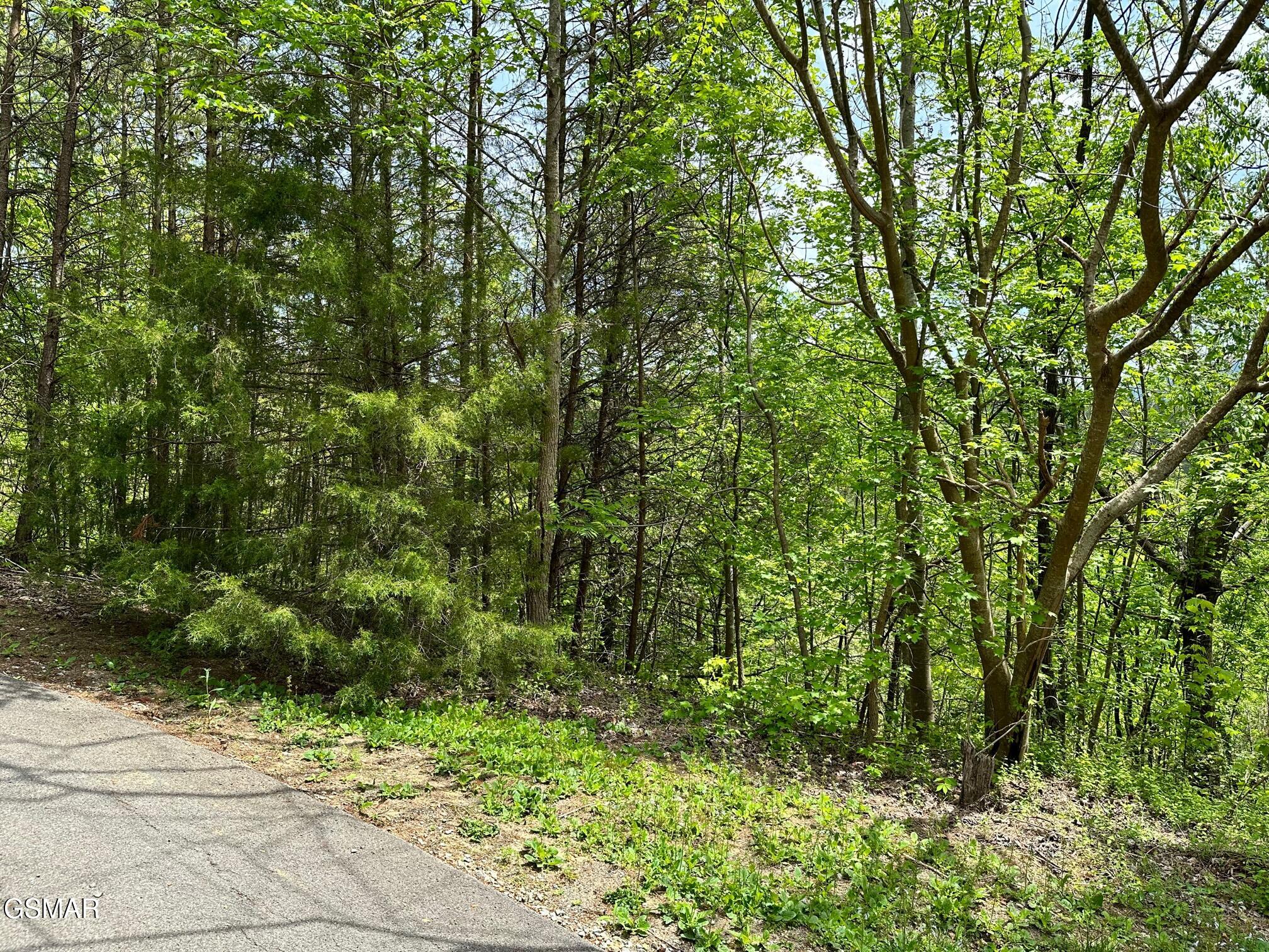 1430 Mountain Dreams Way Sevierville TN 37862