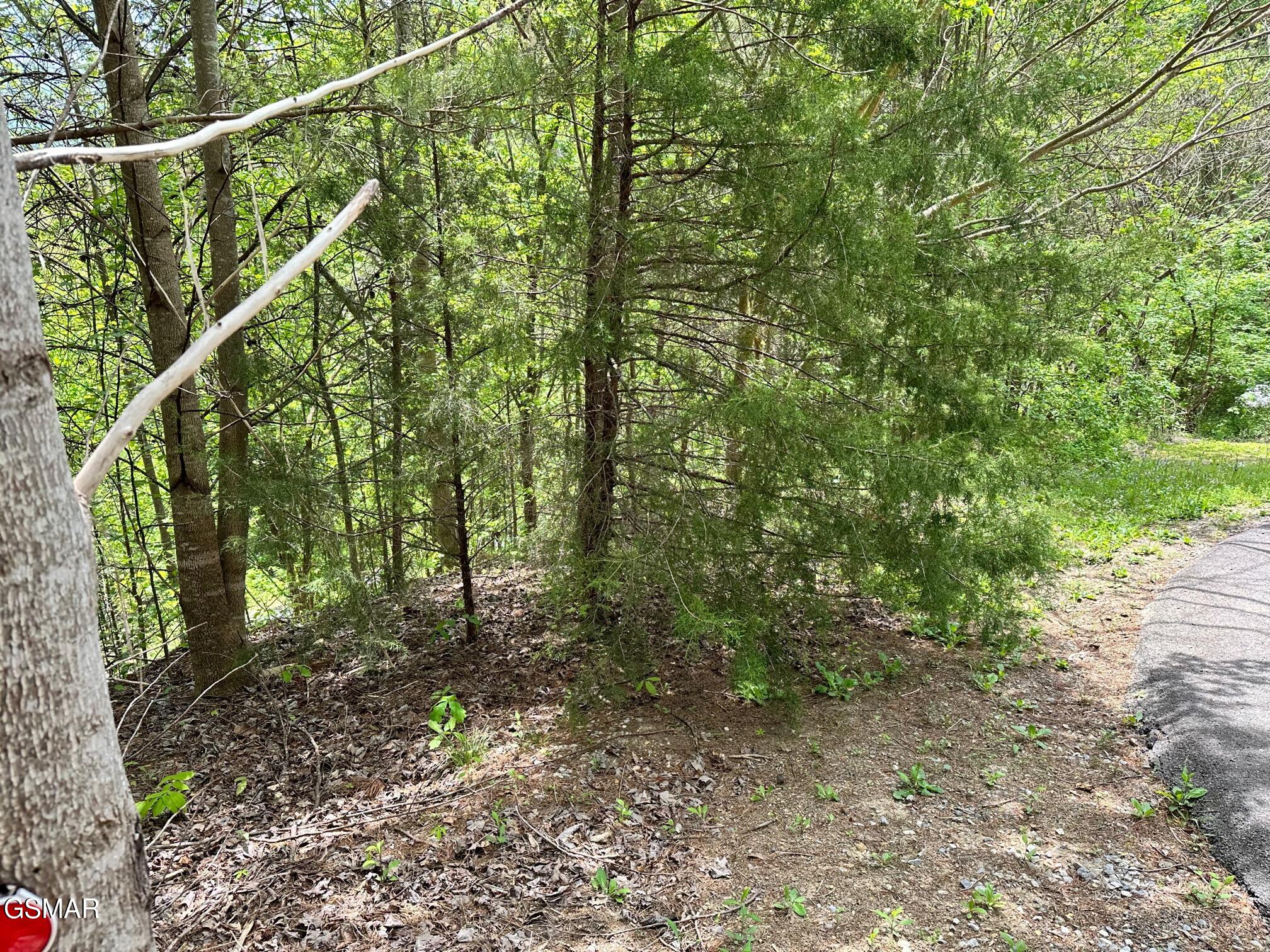 1430 Mountain Dreams Way Sevierville TN 37862
