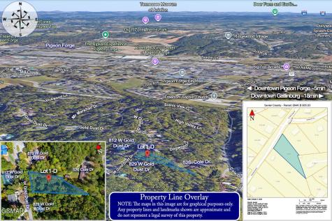 1-D W Gold Dust Drive Pigeon Forge TN 37863
