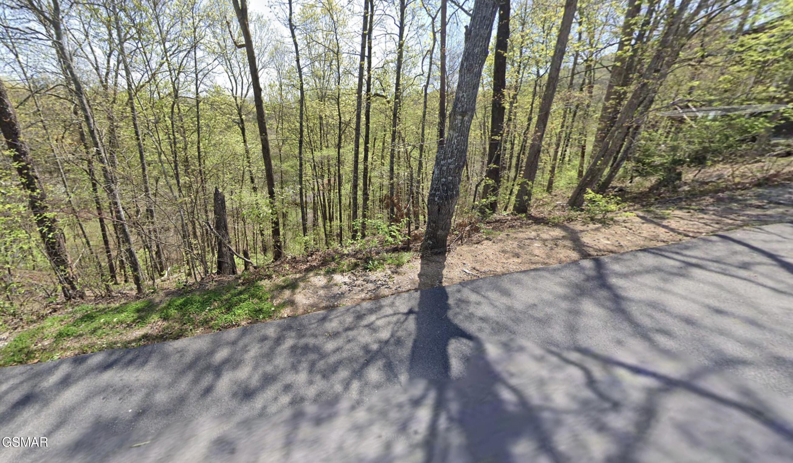 1-D W Gold Dust Drive Pigeon Forge TN 37863