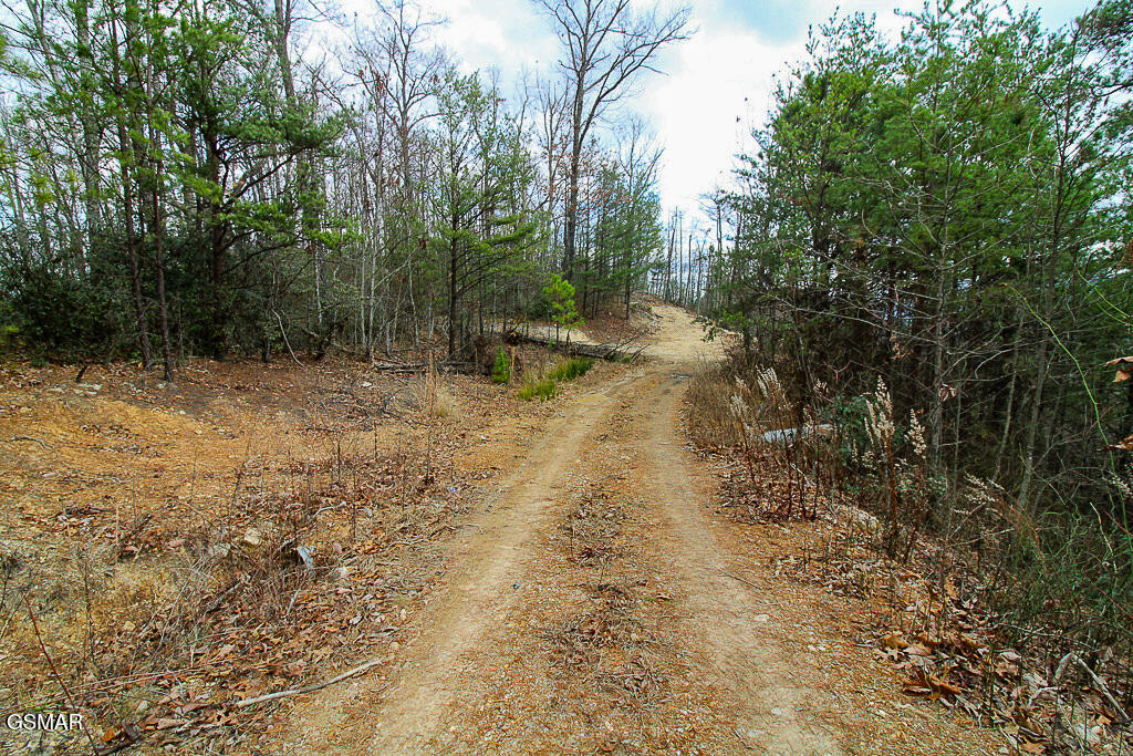 Tract B Mountain Ash Way Sevierville TN 37876