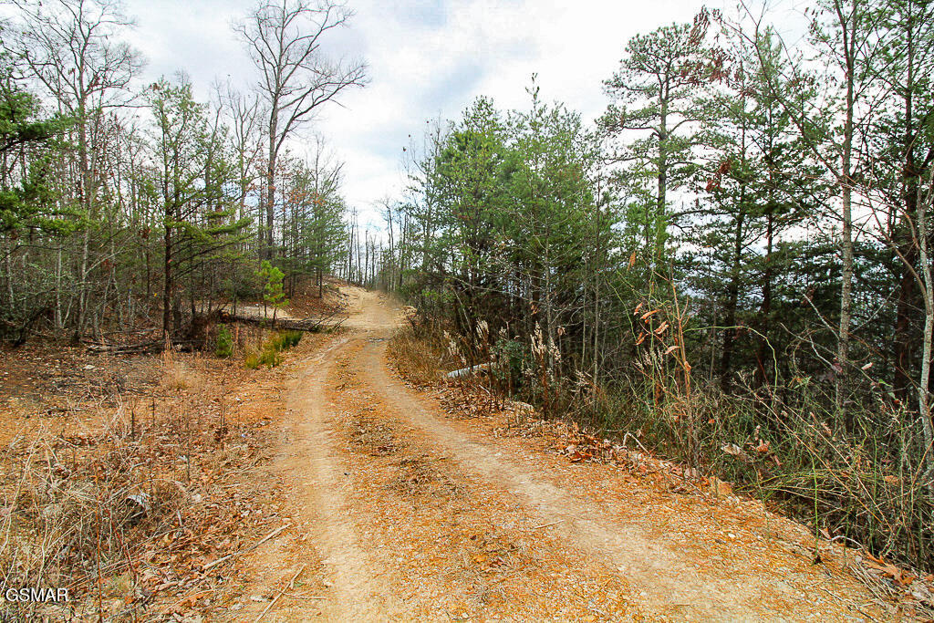 Tract B Mountain Ash Way Sevierville TN 37876