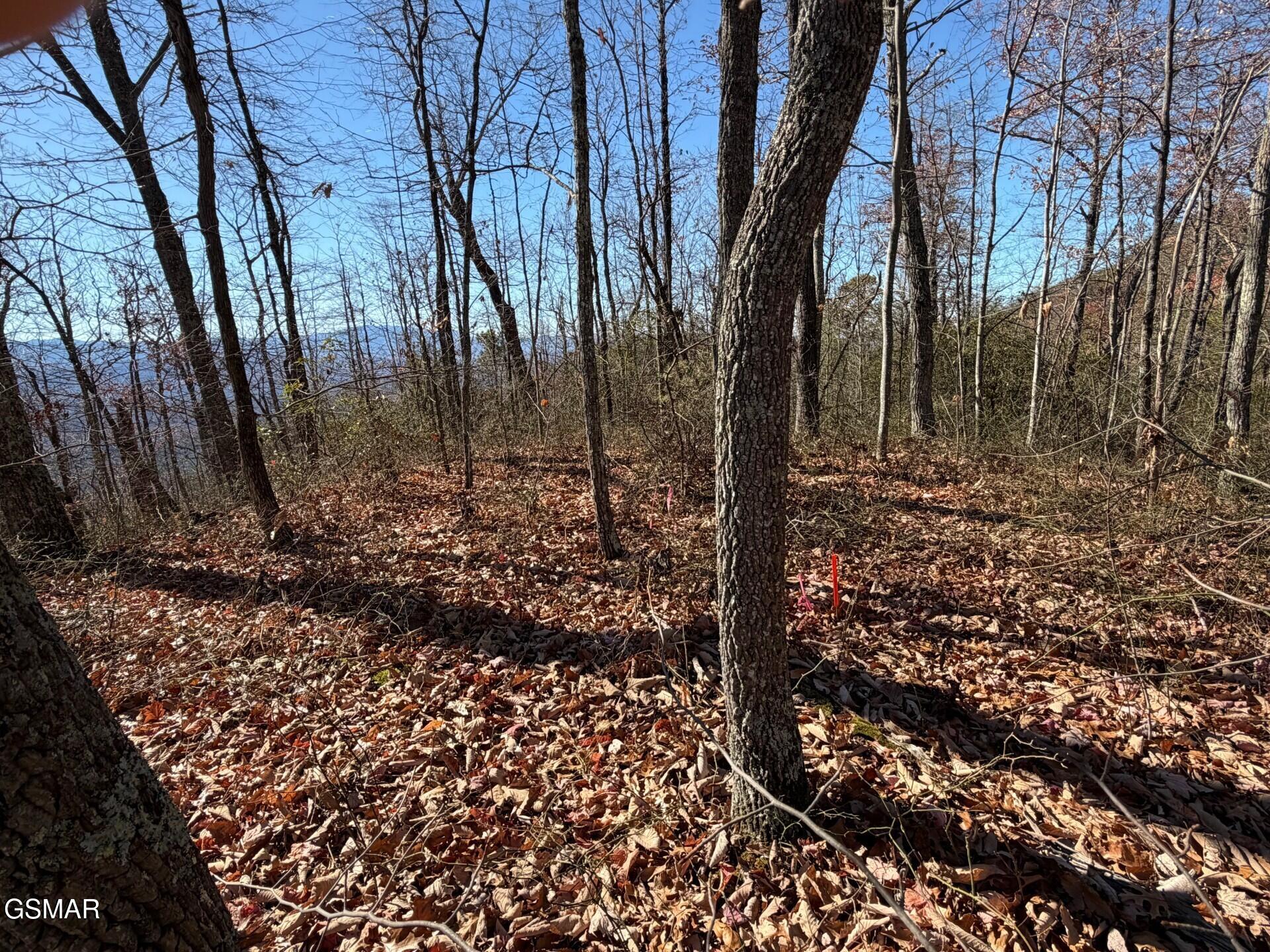 Tract B Mountain Ash Way Sevierville TN 37876