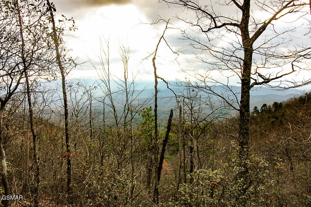 Tract B Mountain Ash Way Sevierville TN 37876