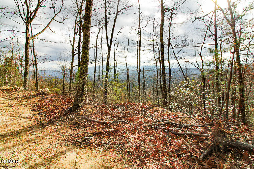 Tract B Mountain Ash Way Sevierville TN 37876
