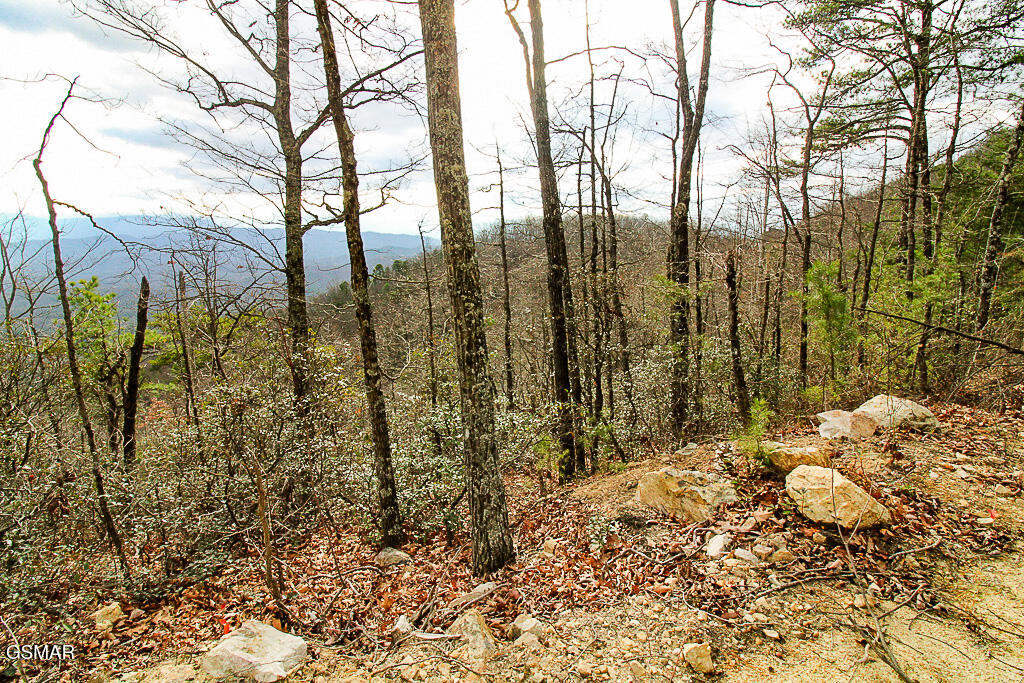 Tract B Mountain Ash Way Sevierville TN 37876