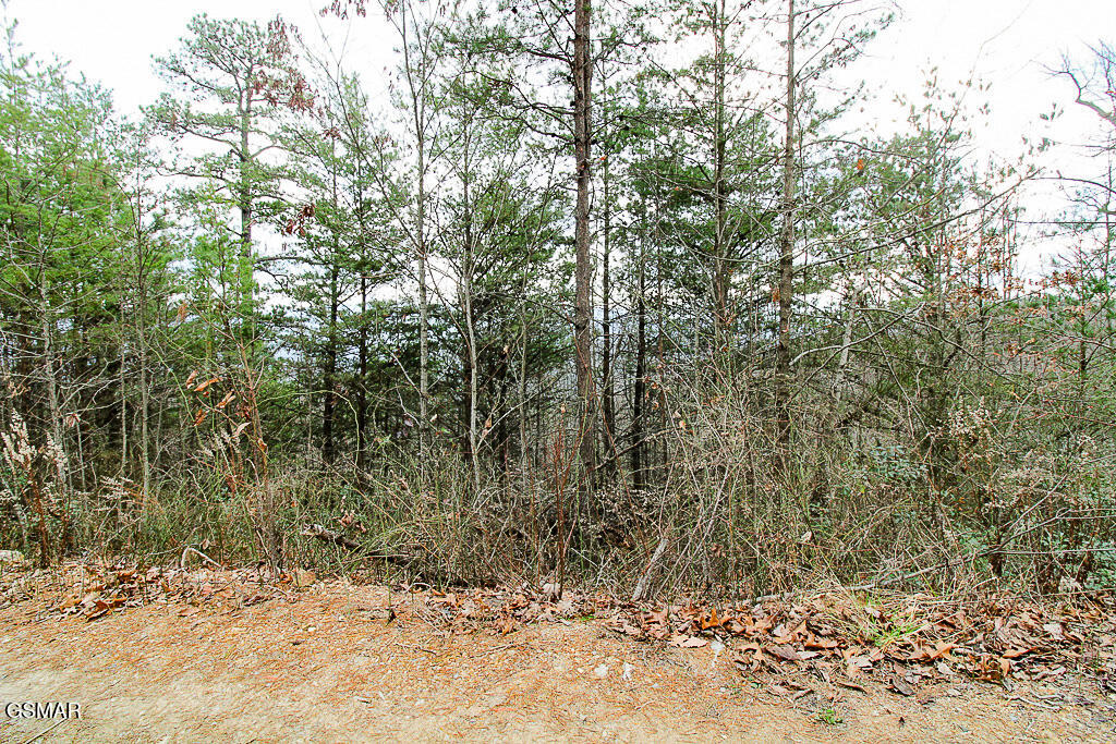 Tract B Mountain Ash Way Sevierville TN 37876