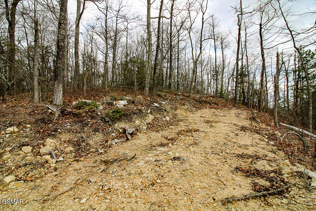 Tract B Mountain Ash Way Sevierville TN 37876