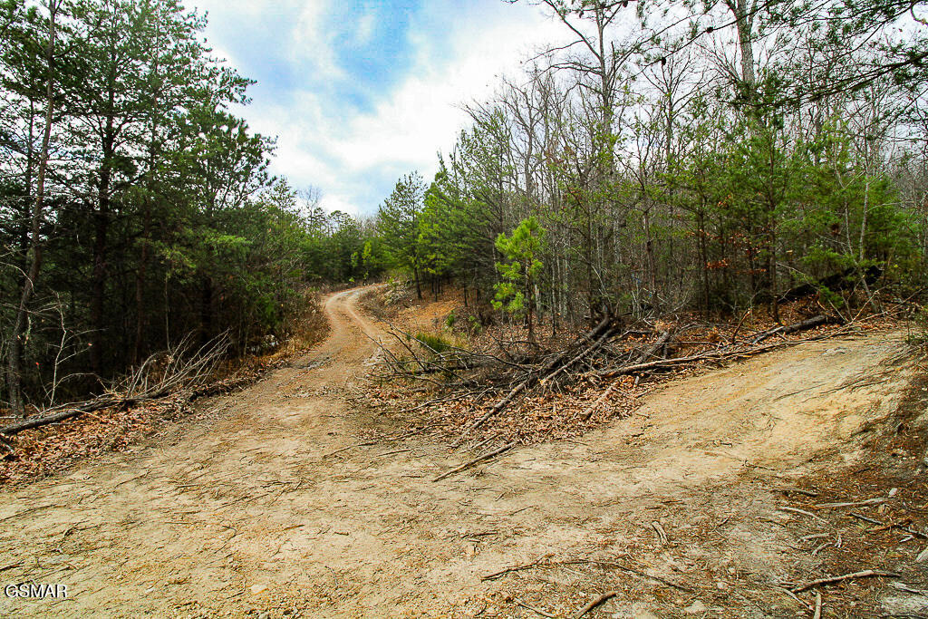 Tract B Mountain Ash Way Sevierville TN 37876