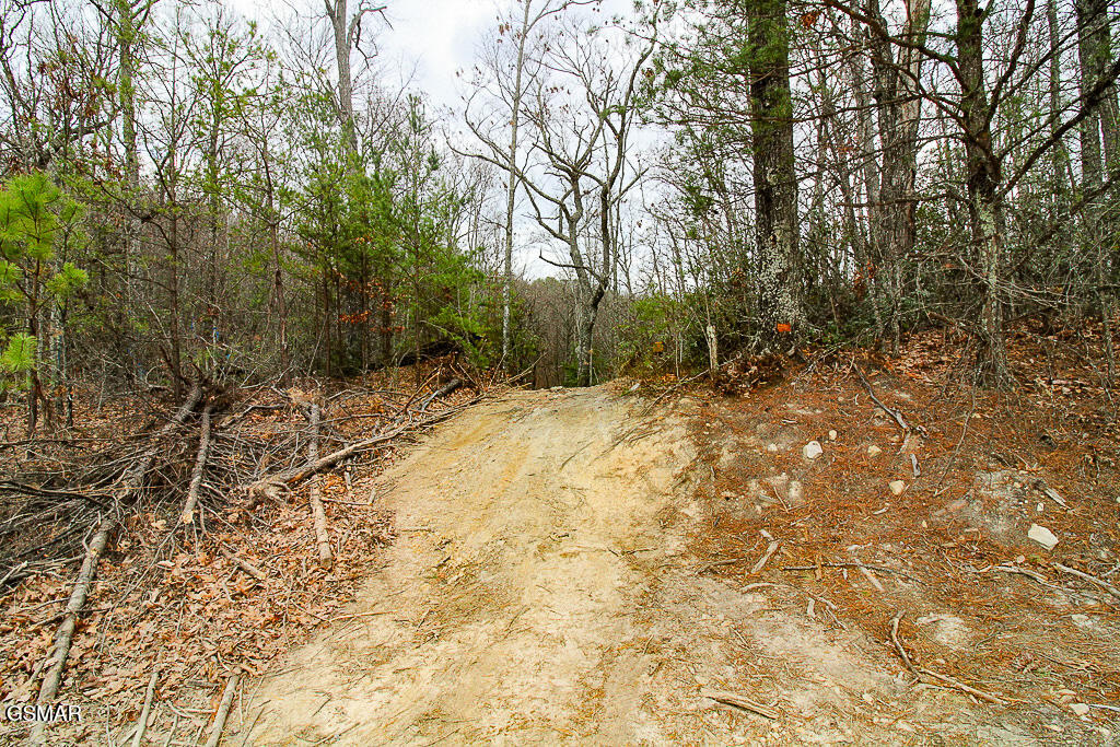 Tract B Mountain Ash Way Sevierville TN 37876