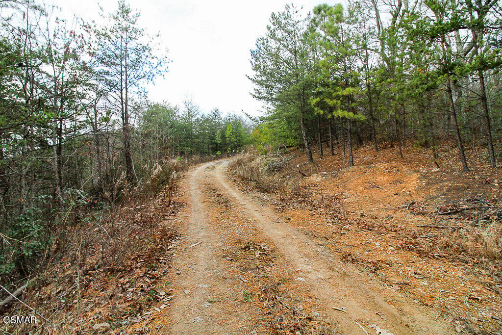 Tract B Mountain Ash Way Sevierville TN 37876