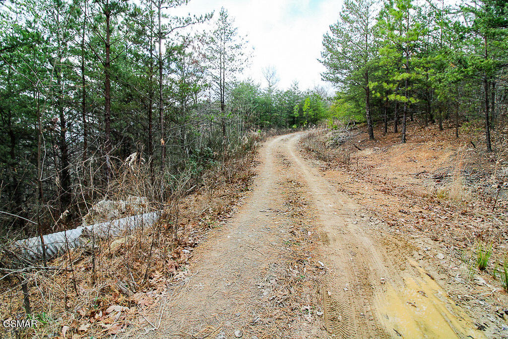 Tract B Mountain Ash Way Sevierville TN 37876