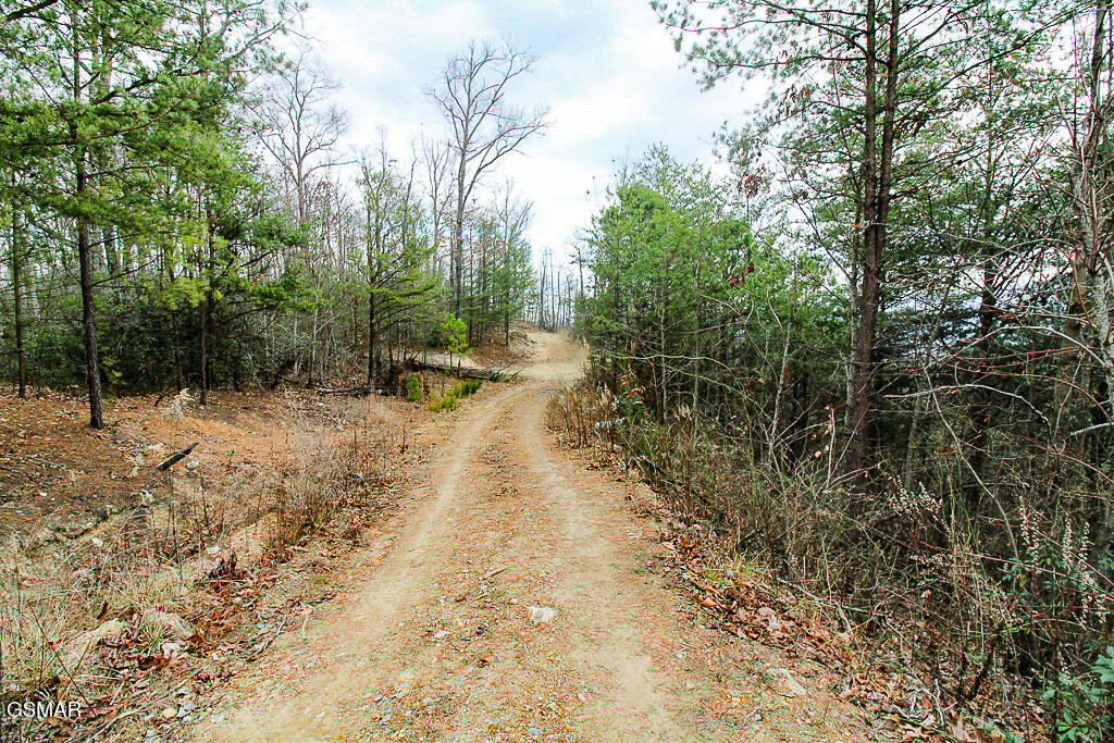 Tract B Mountain Ash Way Sevierville TN 37876