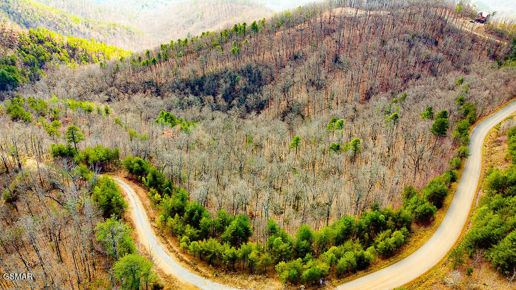 Tract B Mountain Ash Way Sevierville TN 37876