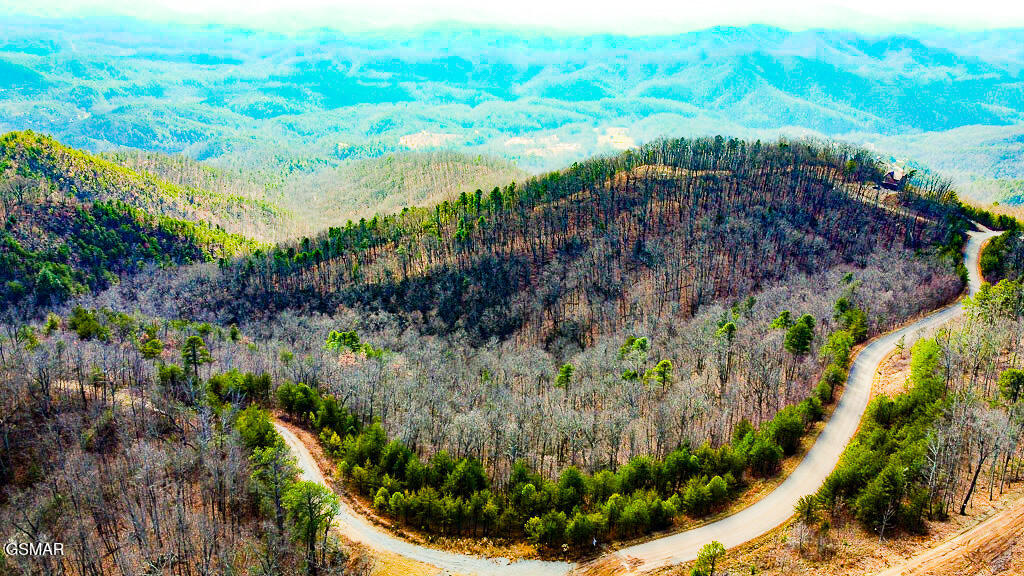 Tract B Mountain Ash Way Sevierville TN 37876