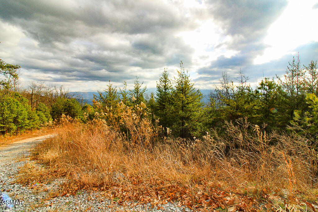 Tract B Mountain Ash Way Sevierville TN 37876
