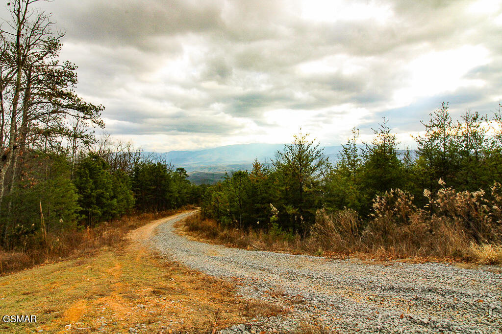 Tract B Mountain Ash Way Sevierville TN 37876