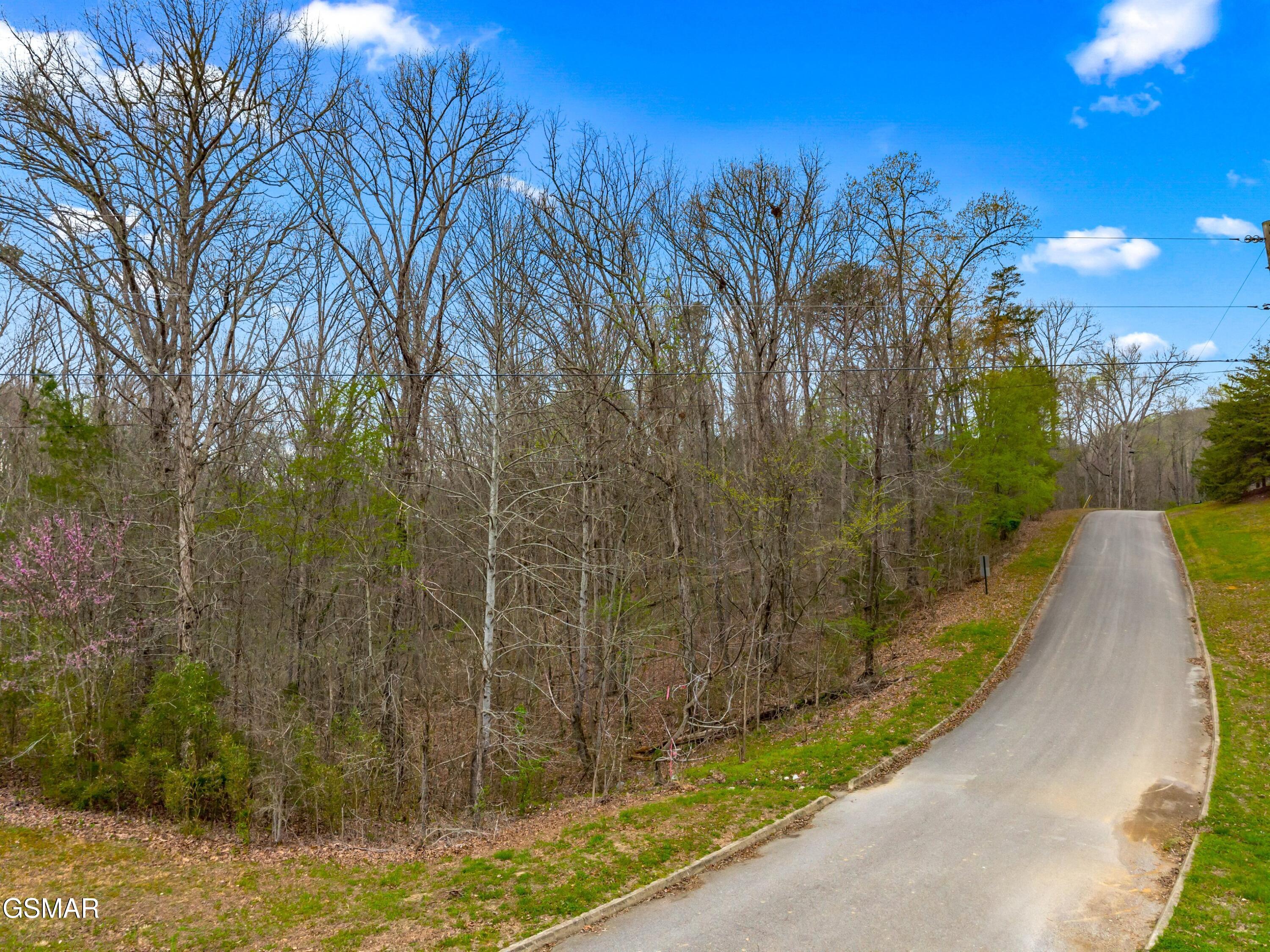 Lot 107 Turtle Dove Trail Dandridge TN 37725