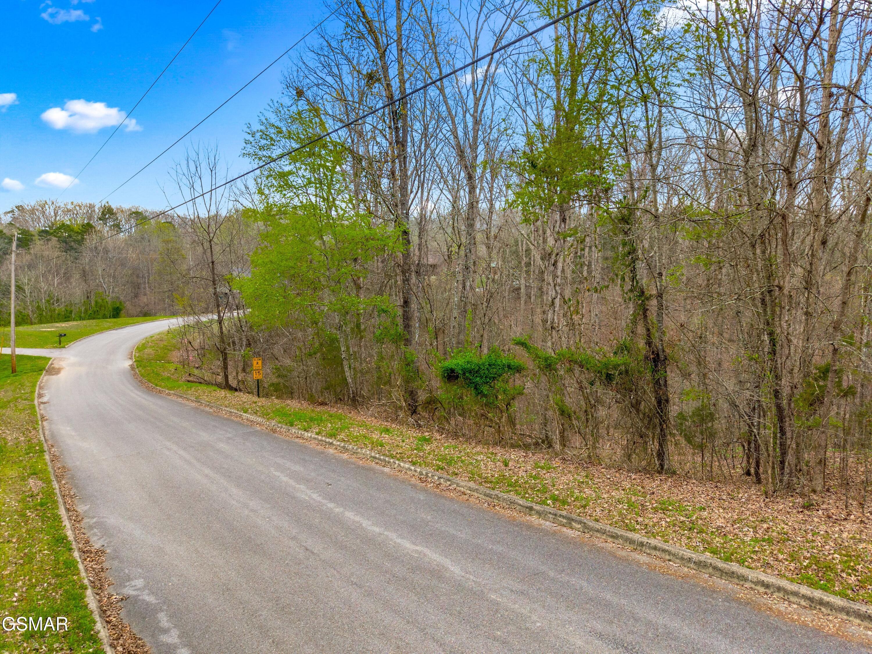 Lot 107 Turtle Dove Trail Dandridge TN 37725
