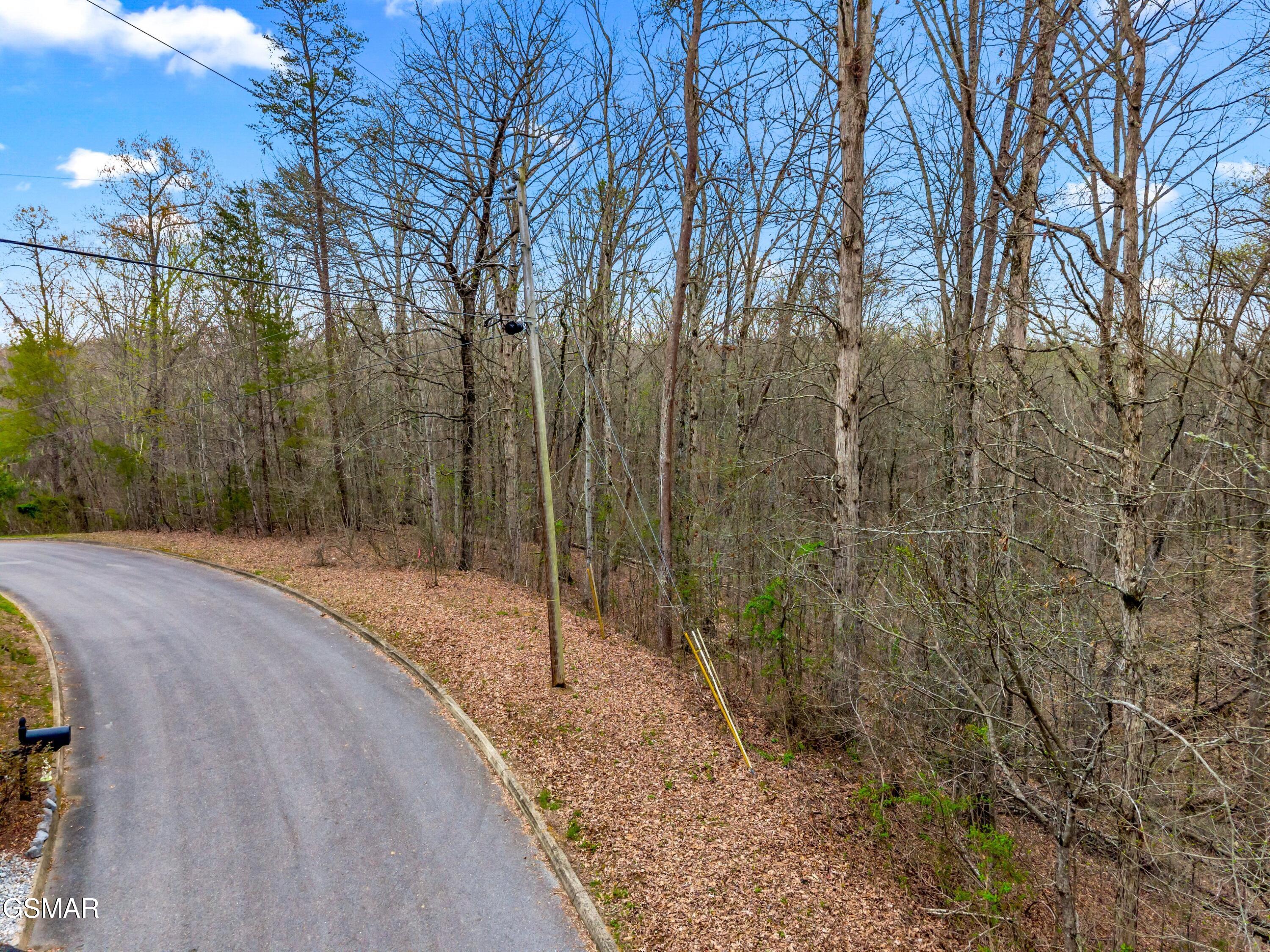 Lot 107 Turtle Dove Trail Dandridge TN 37725