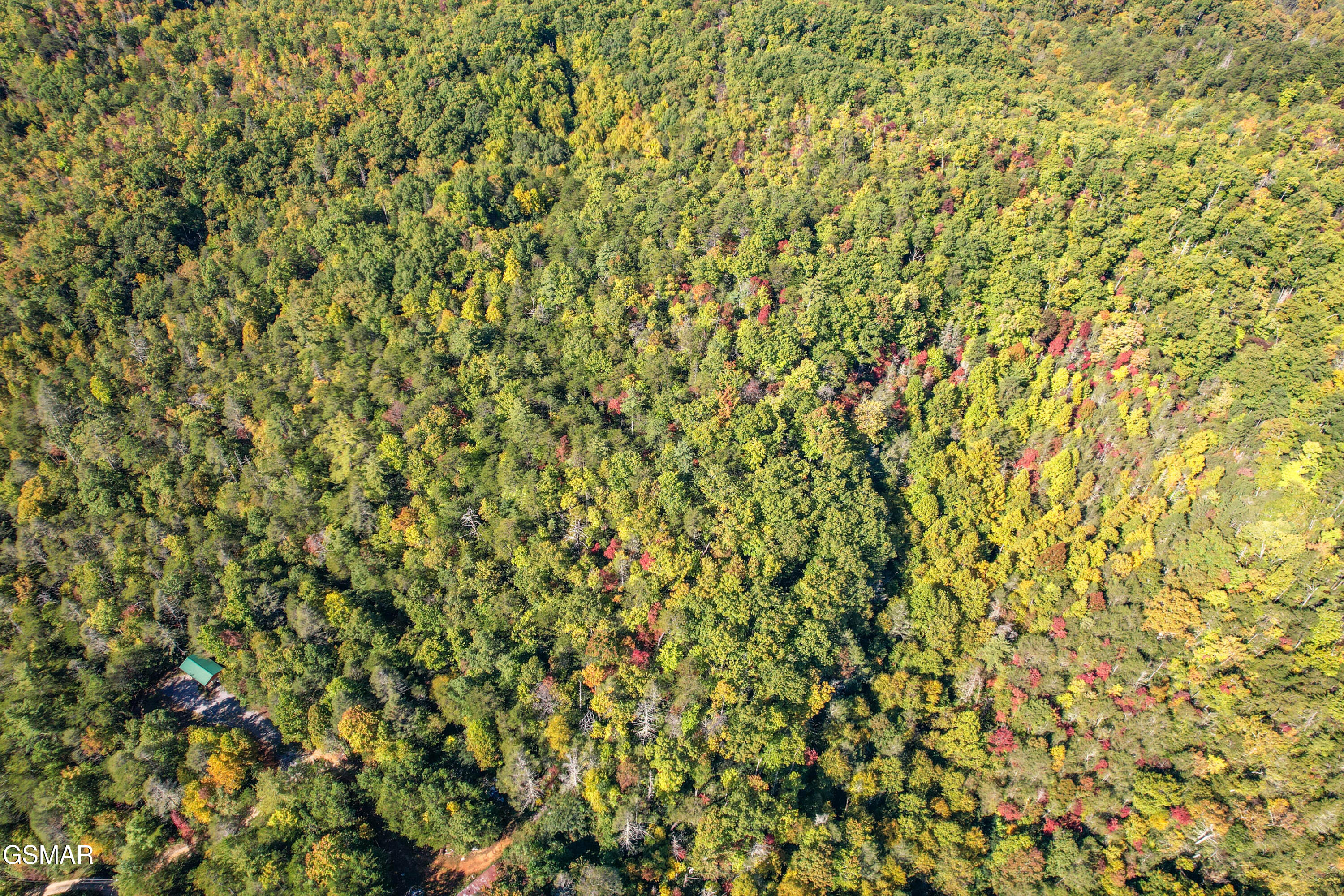 0 Branam Hollow Road Off Gatlinburg TN 37738