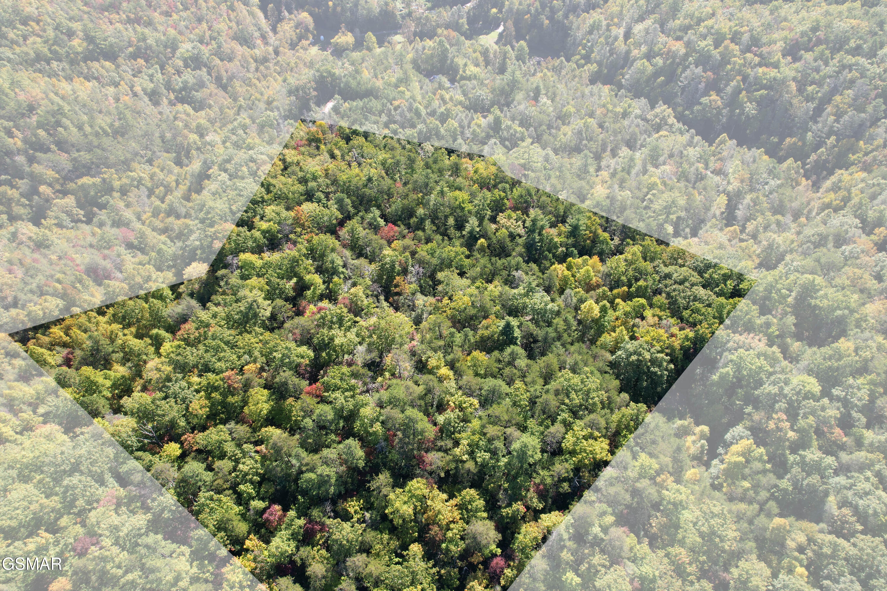 0 Branam Hollow Road Off Gatlinburg TN 37738