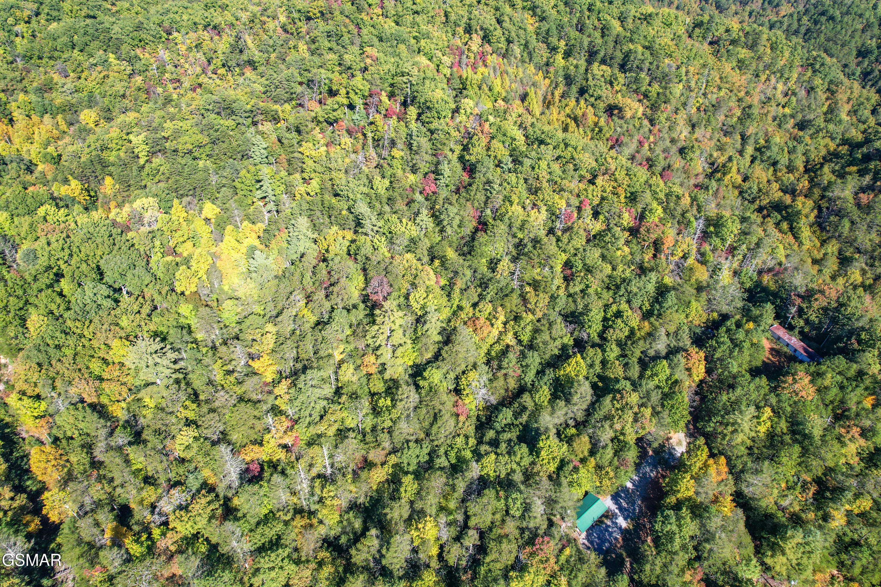 0 Branam Hollow Road Off Gatlinburg TN 37738