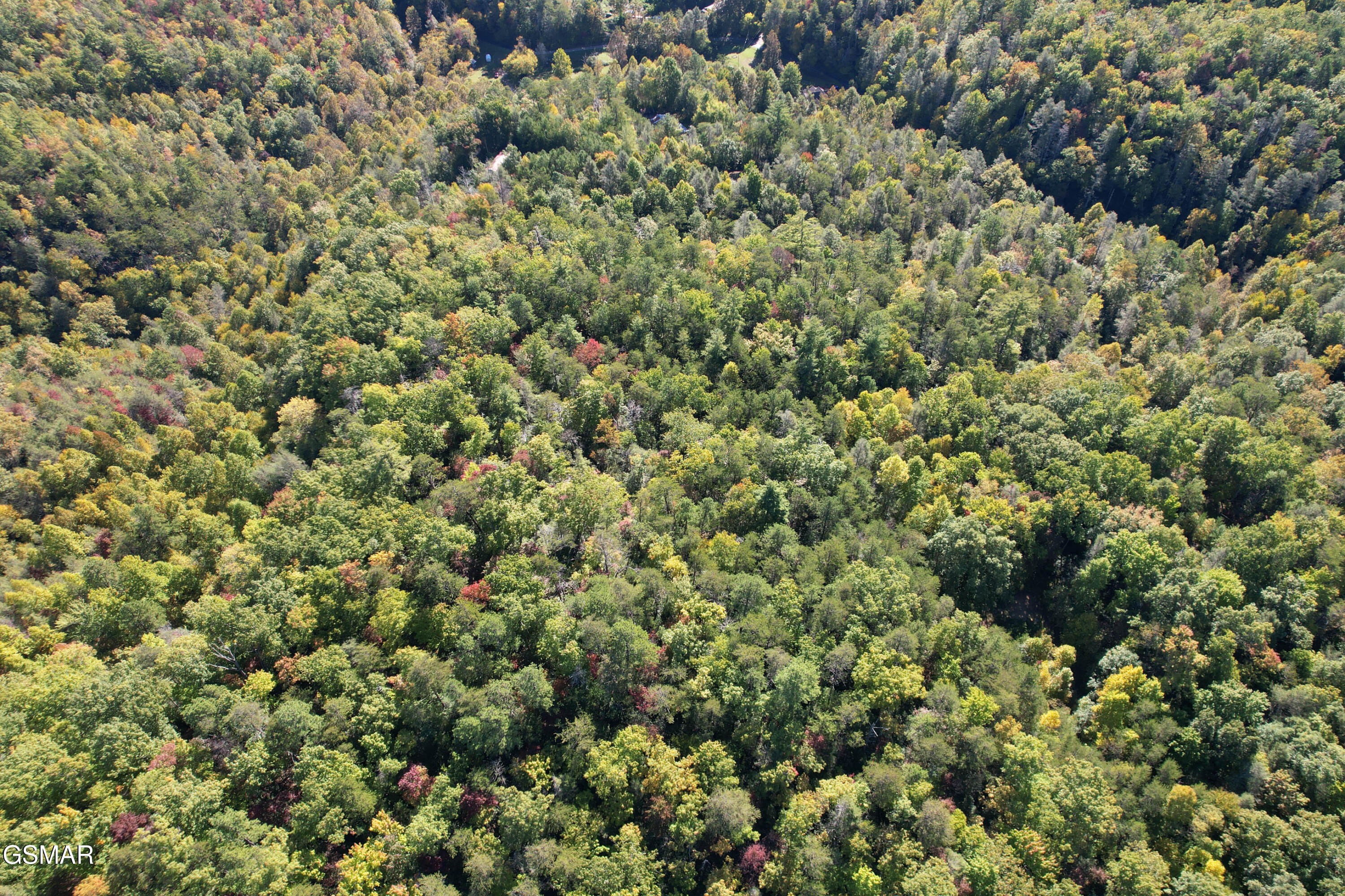 0 Branam Hollow Road Off Gatlinburg TN 37738