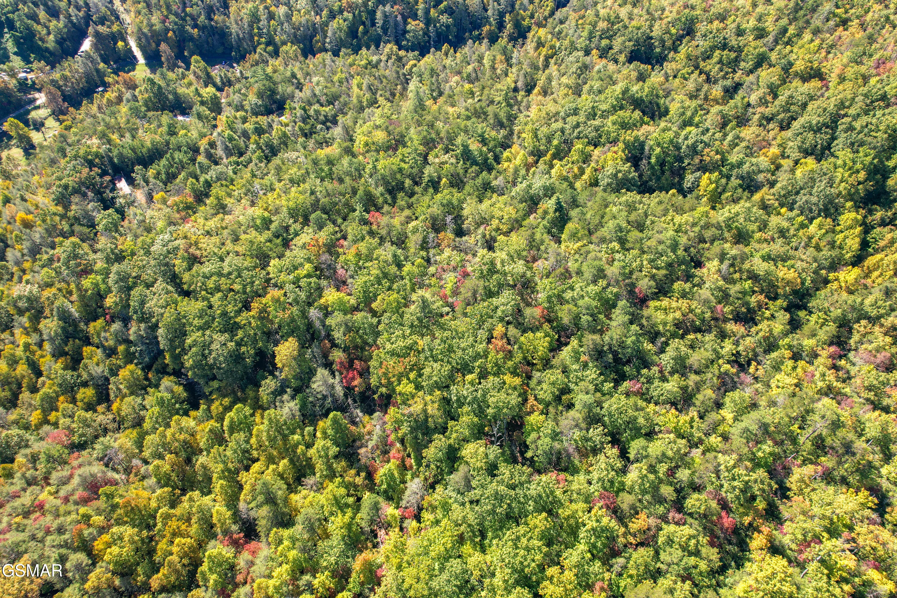 0 Branam Hollow Road Off Gatlinburg TN 37738