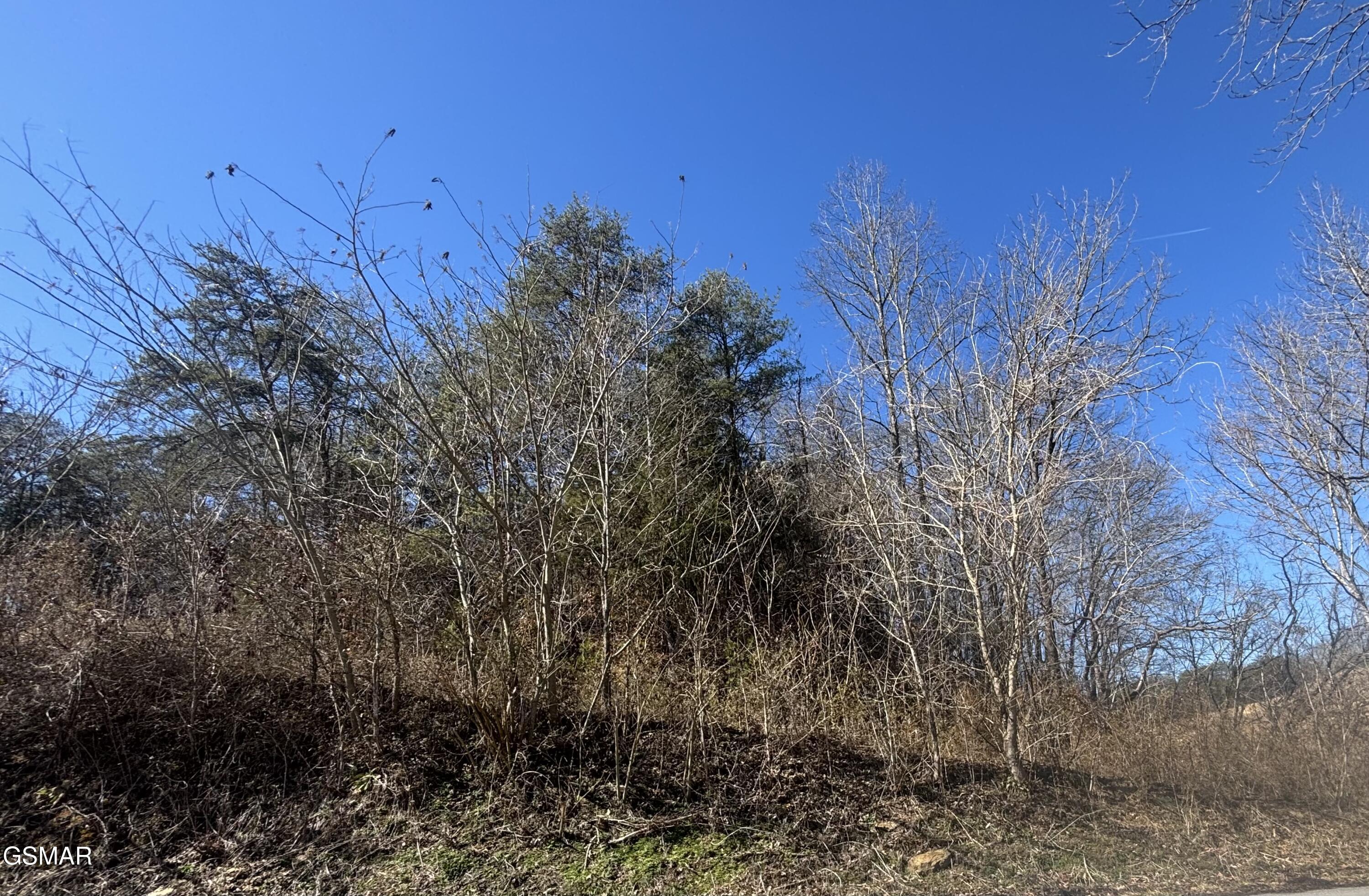Tract 4 Rule Hollow Road Sevierville TN 37876