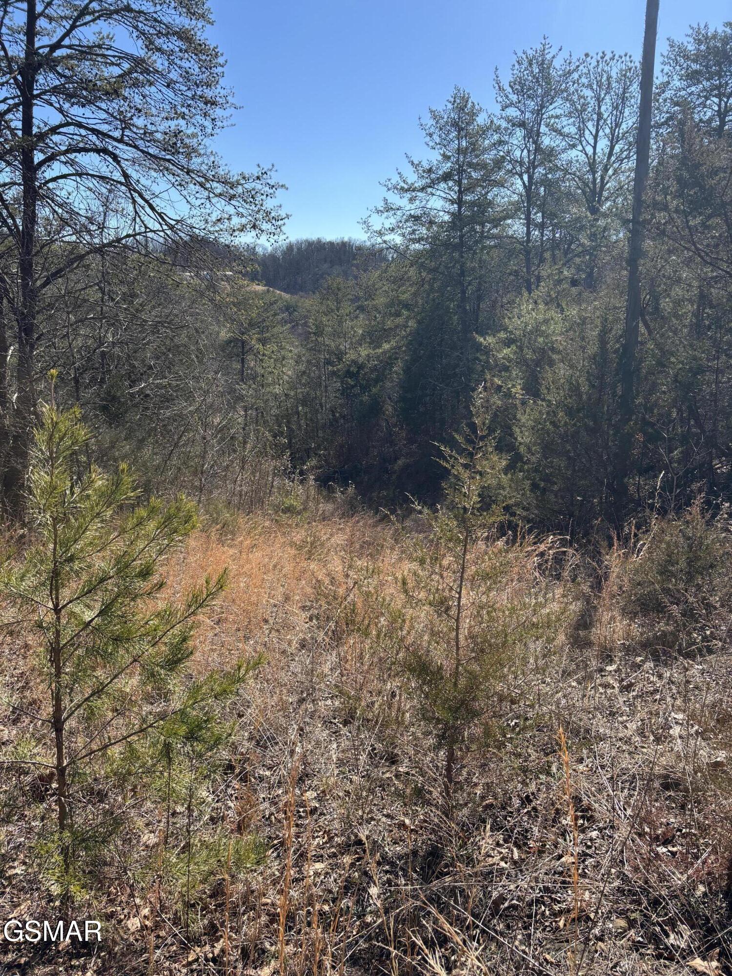 Tract 4 Rule Hollow Road Sevierville TN 37876