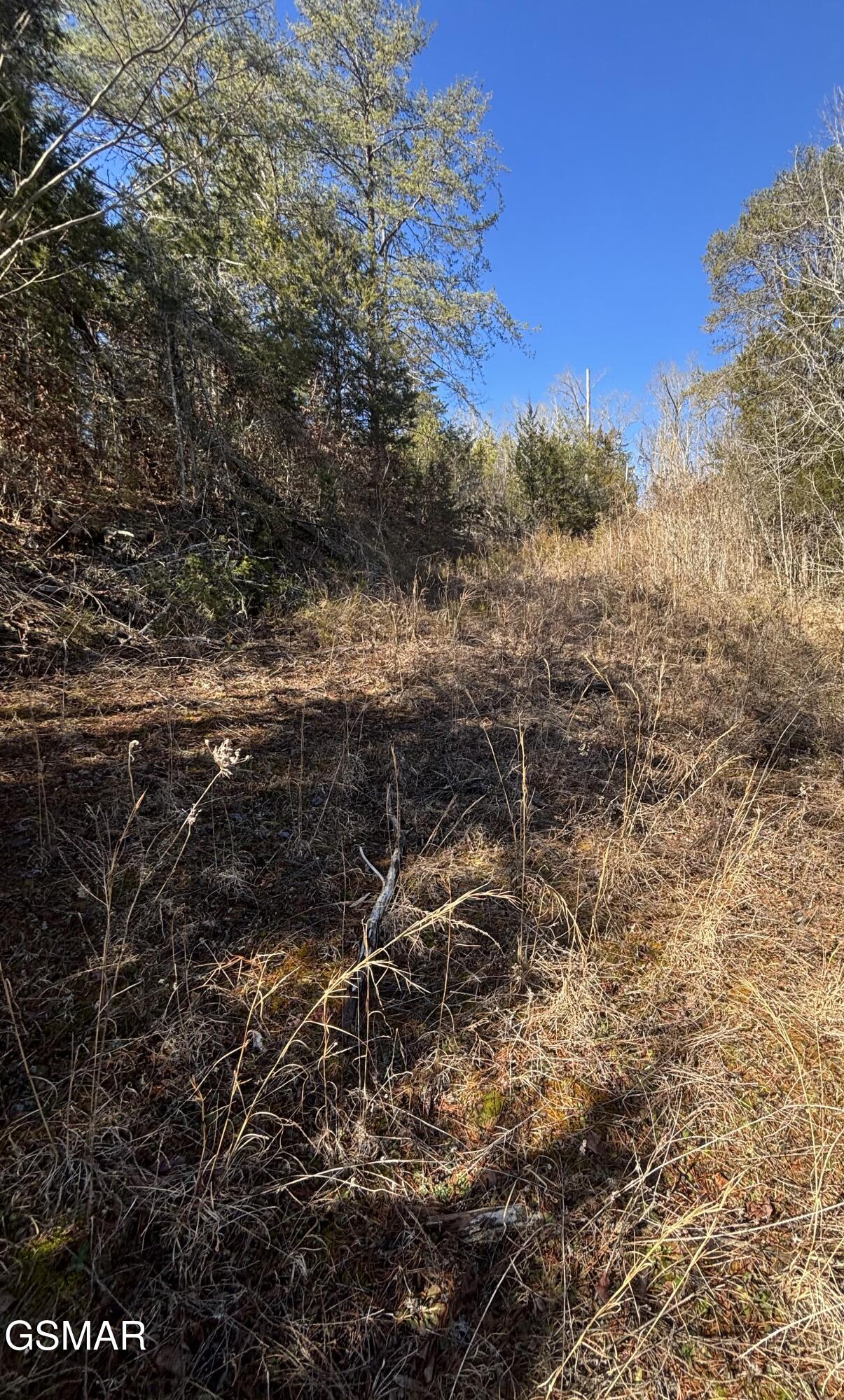 Tract 4 Rule Hollow Road Sevierville TN 37876