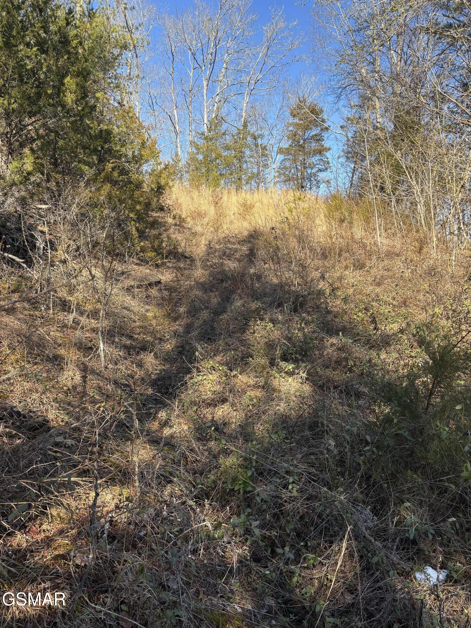 Tract 4 Rule Hollow Road Sevierville TN 37876