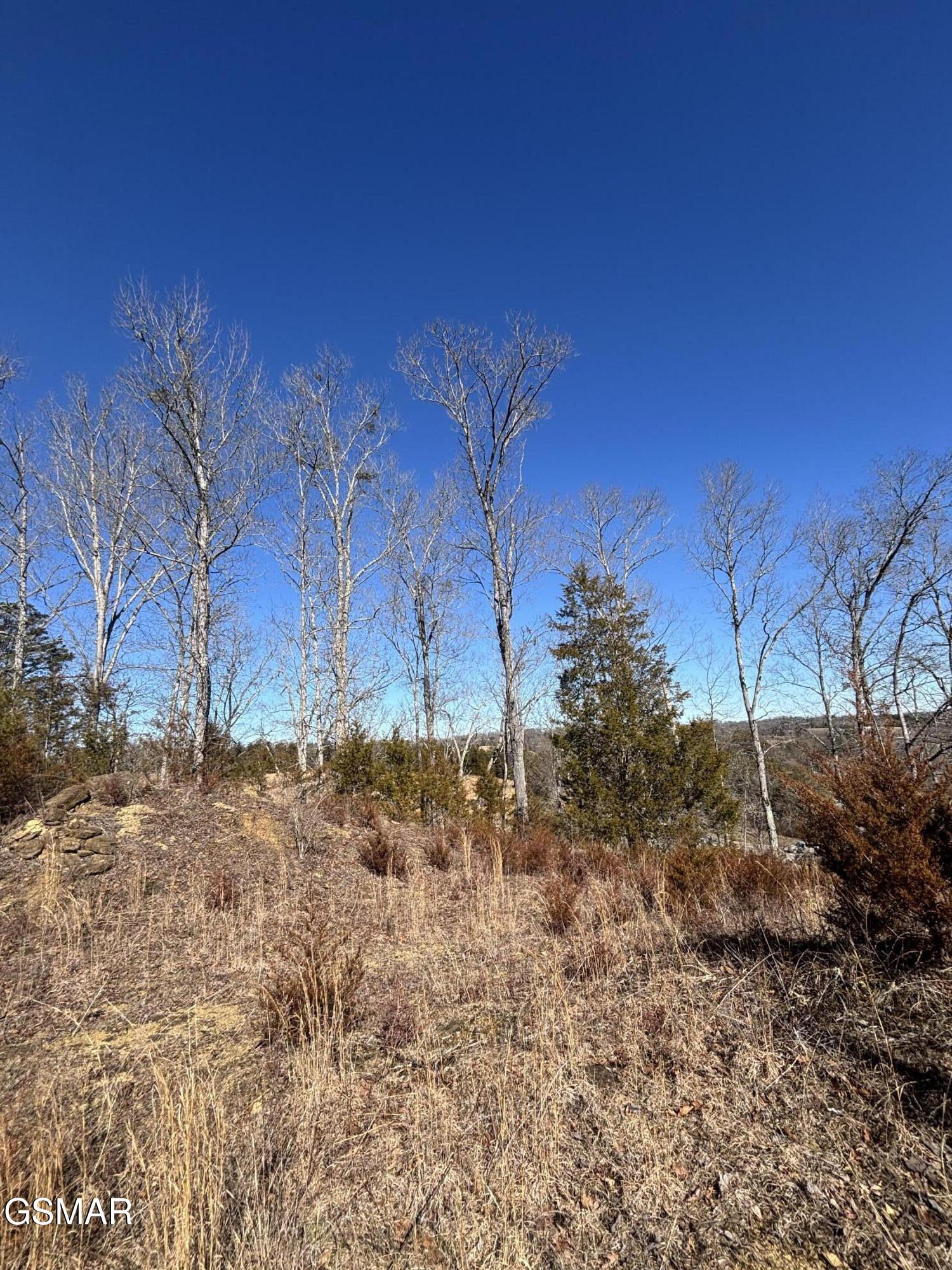 Tract 4 Rule Hollow Road Sevierville TN 37876