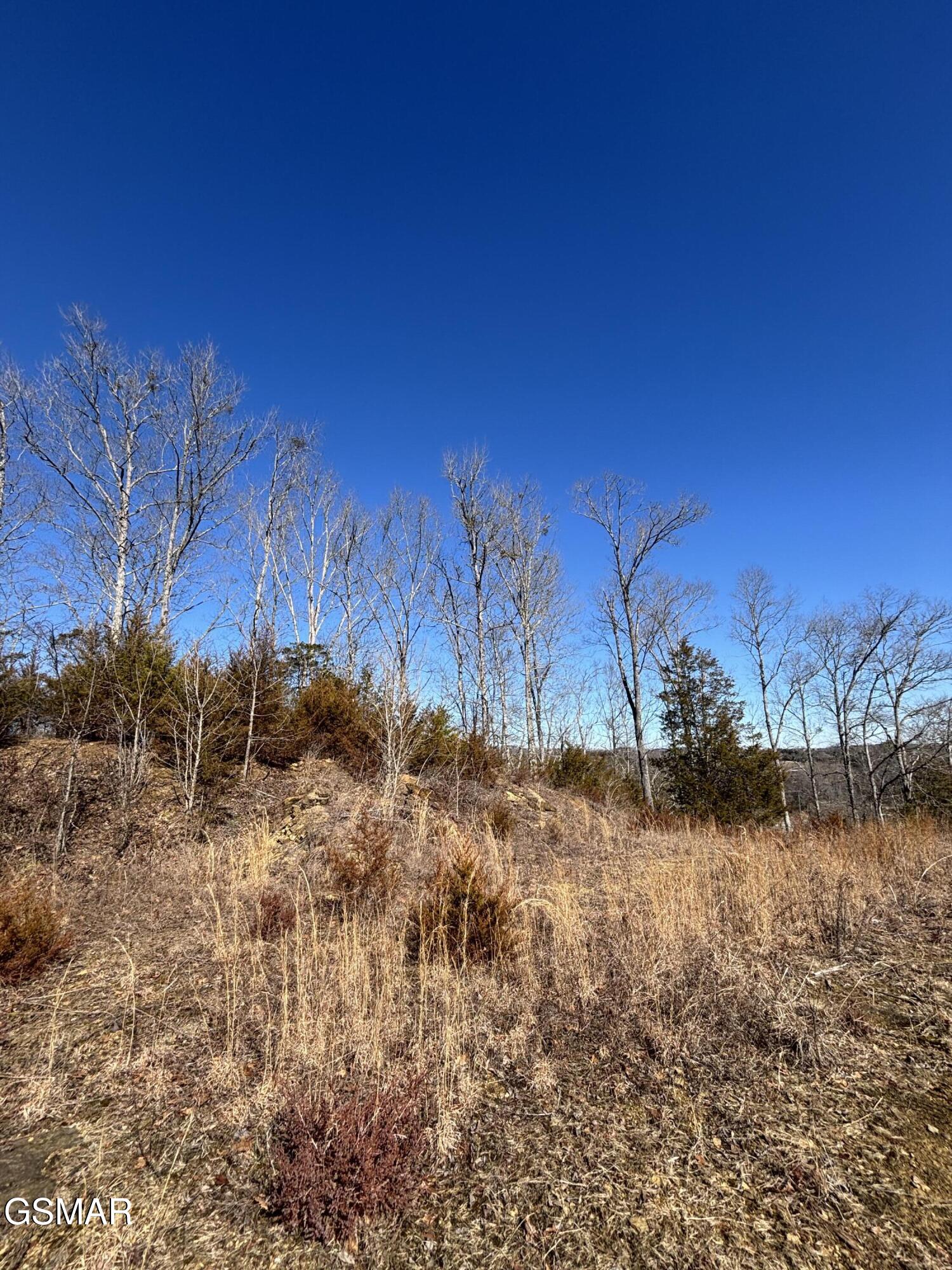 Tract 4 Rule Hollow Road Sevierville TN 37876